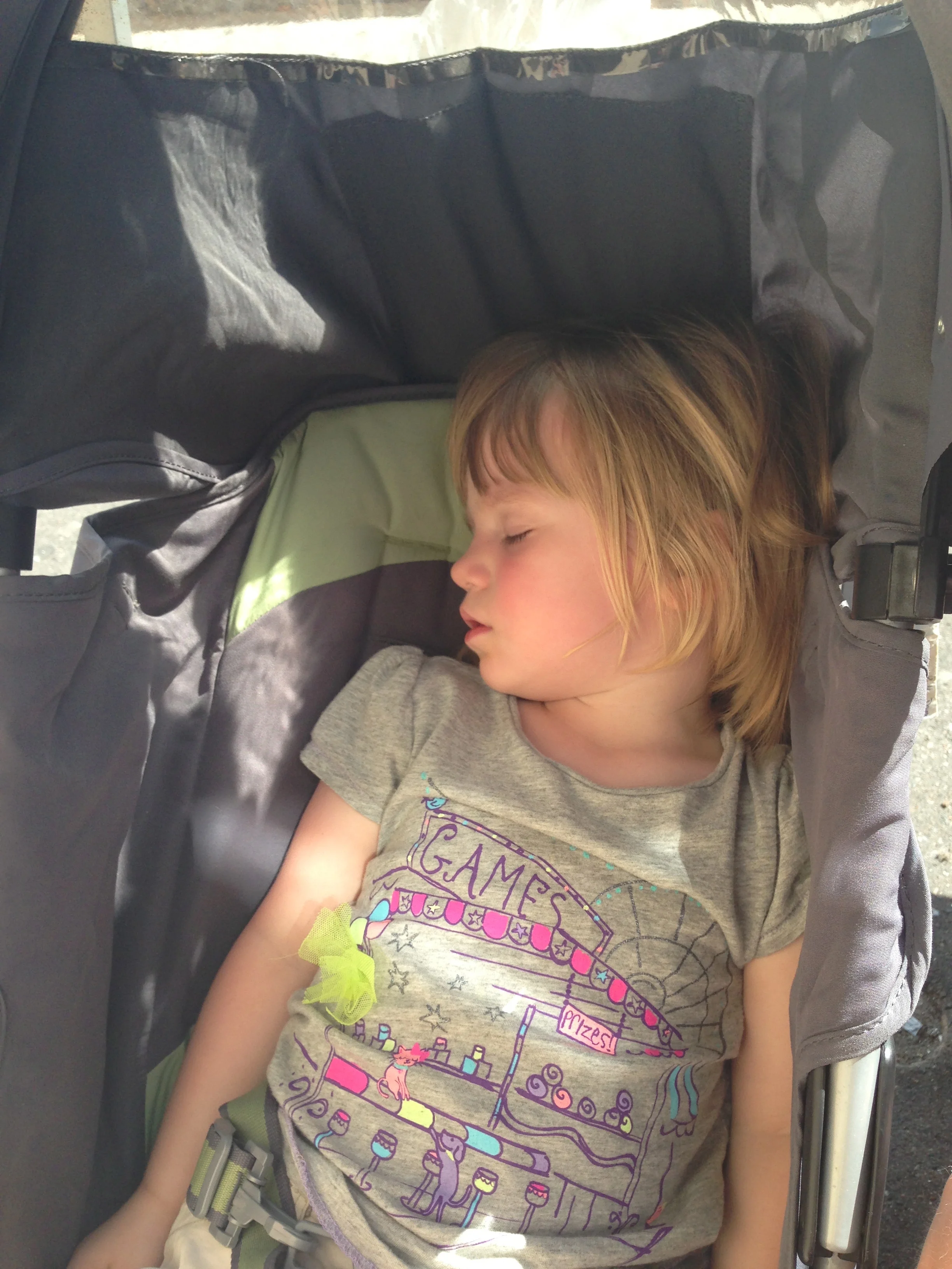  ...and someone else enjoying a nap.
