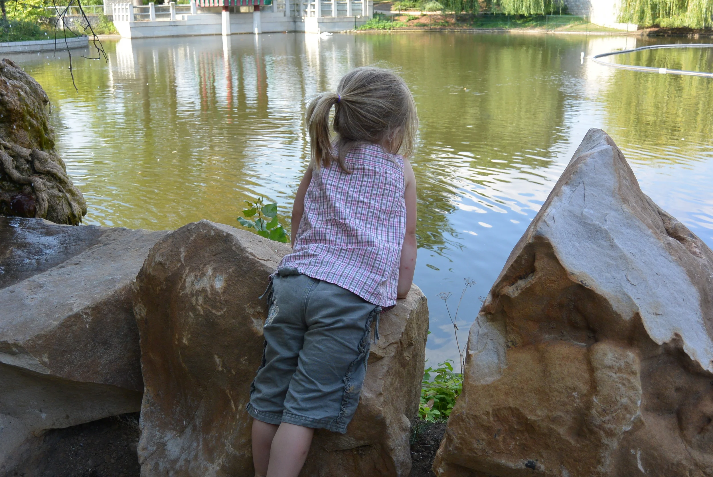 My girl just checking out the pond.