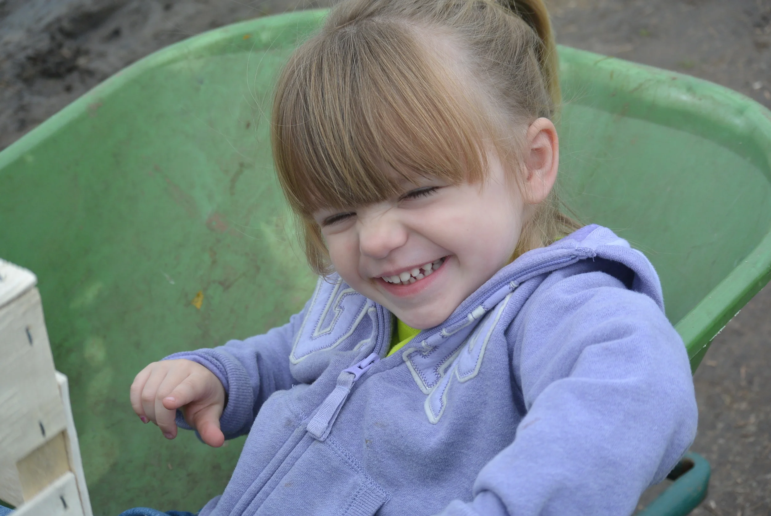 Peyton just hangin out in the wagon.