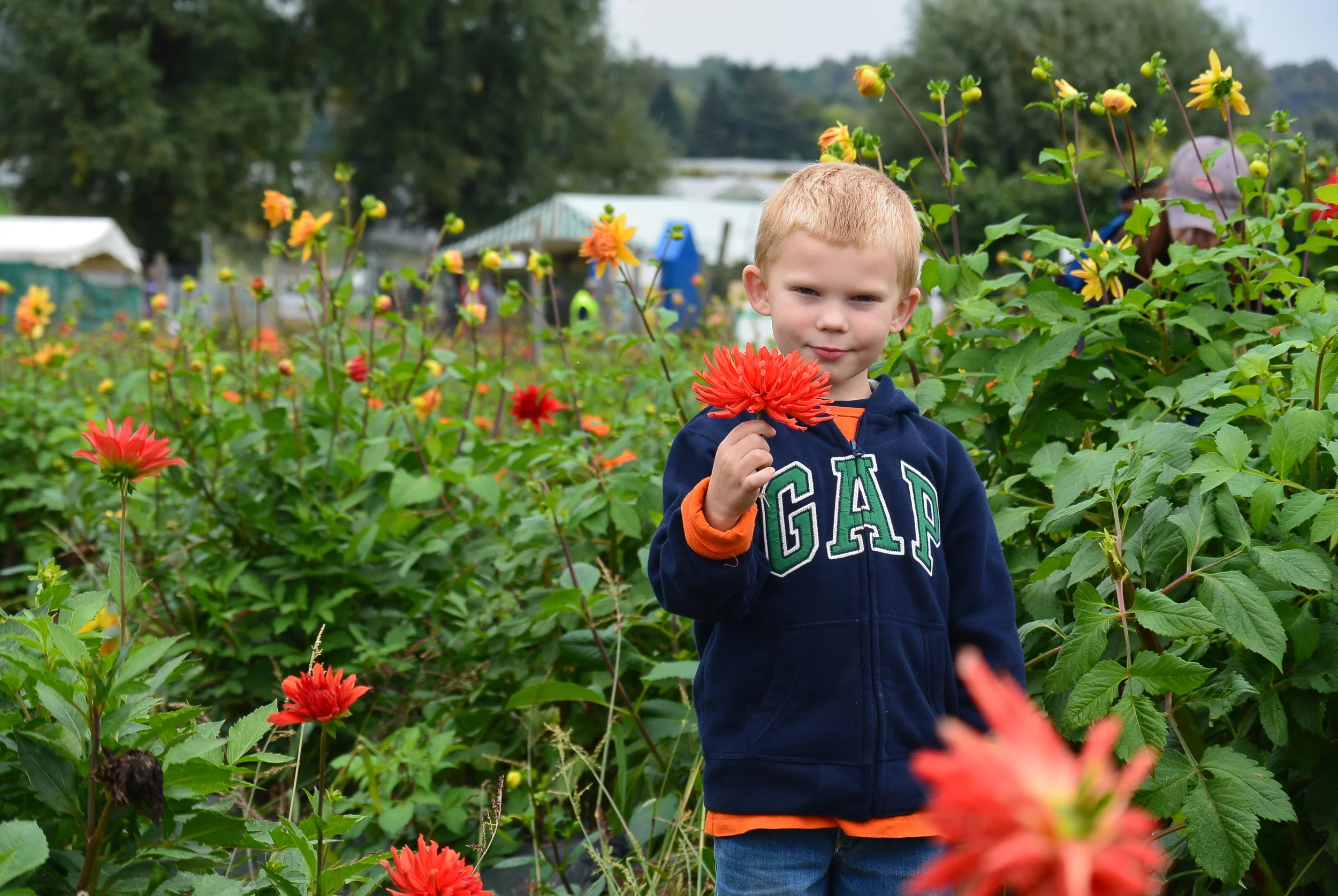 The picture I posted on FB, love this one.