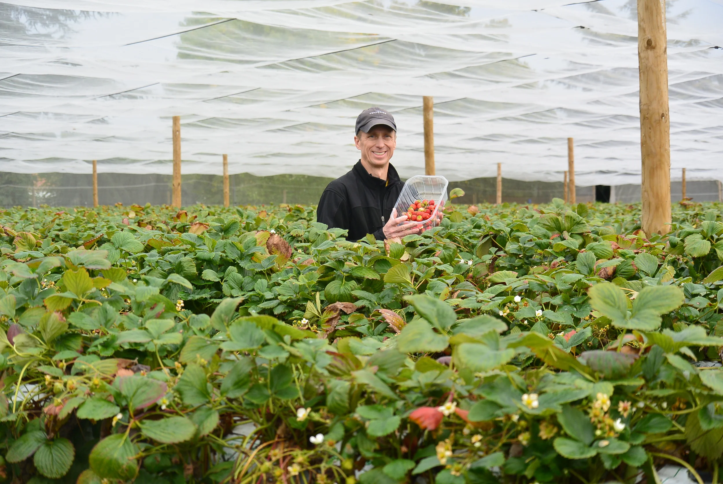 Keith got some good ones.