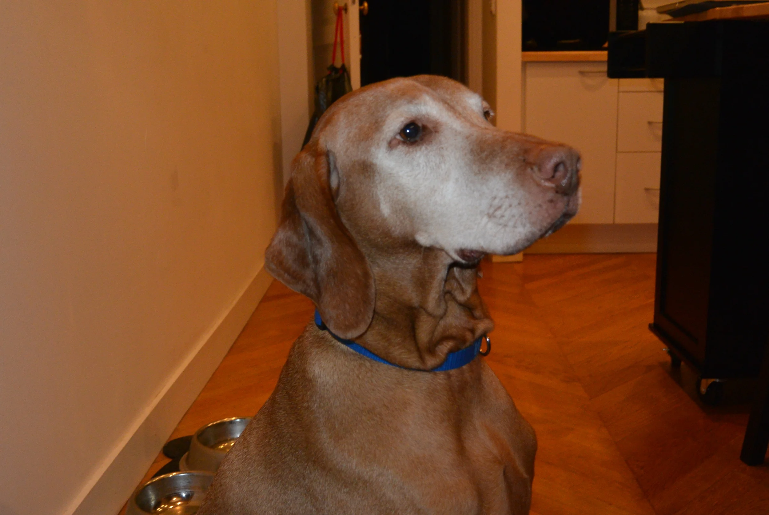 Max waiting for something to drop.