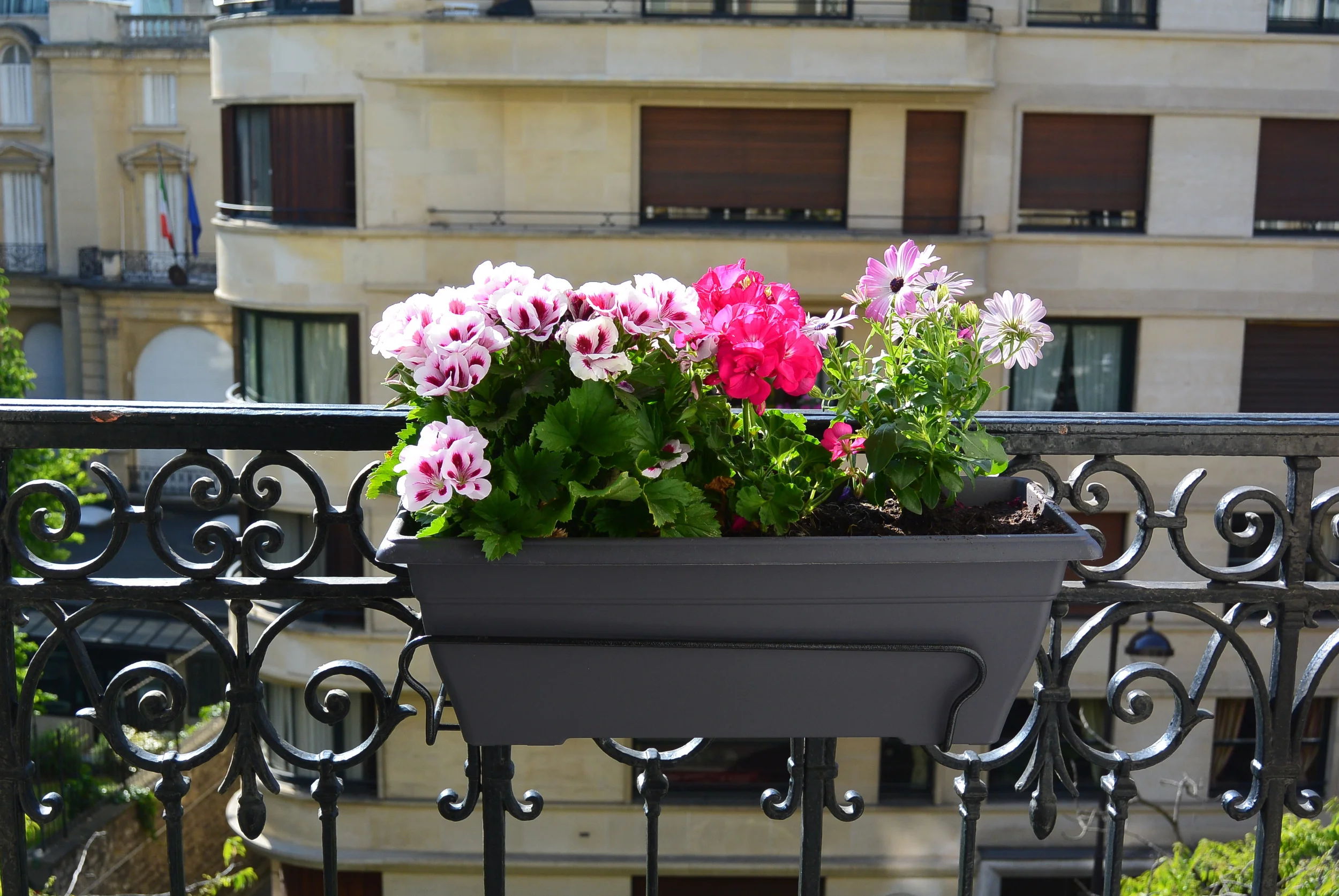 one of our 4 flower pots