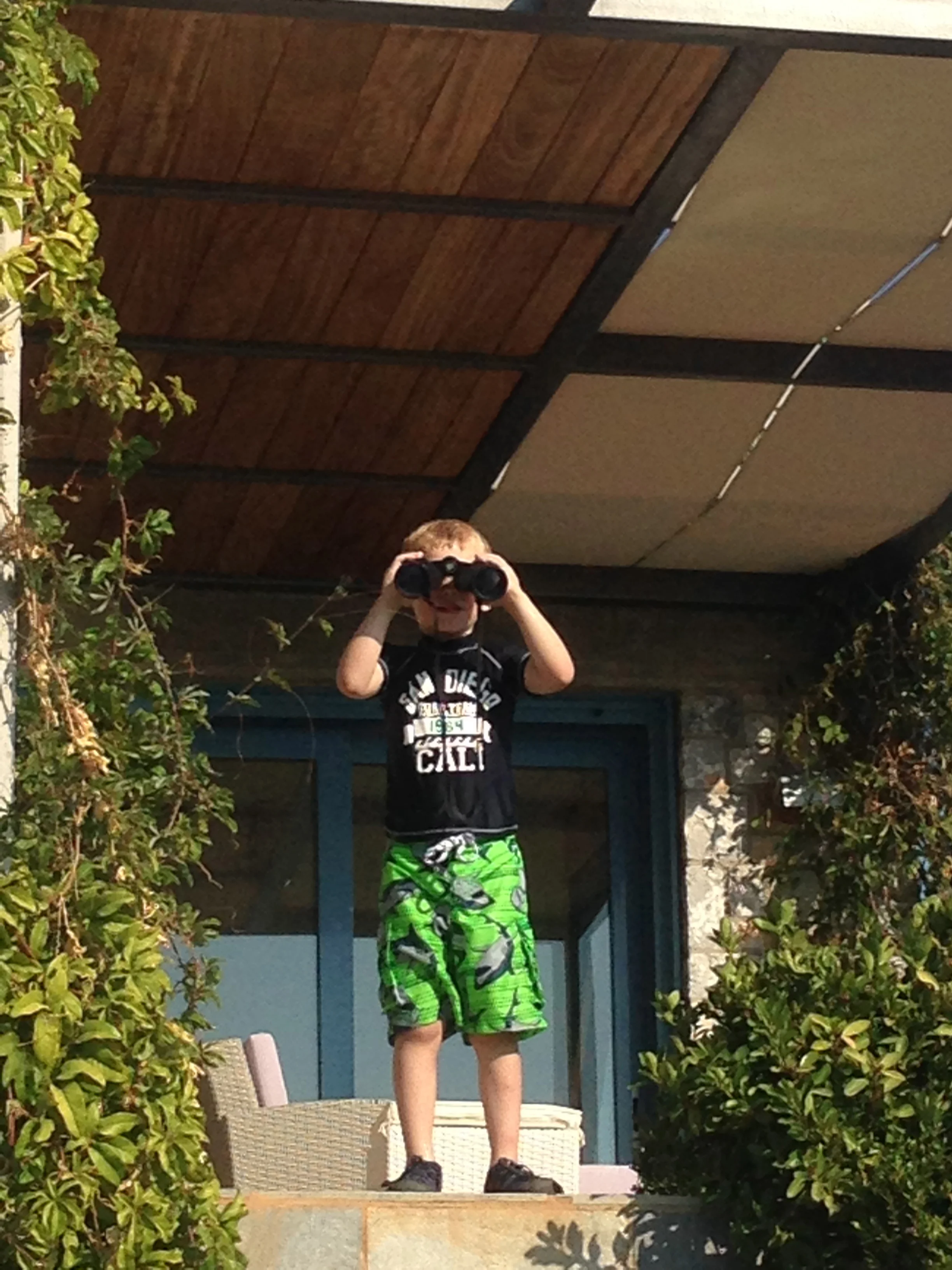 Lance checking out the neighbors.