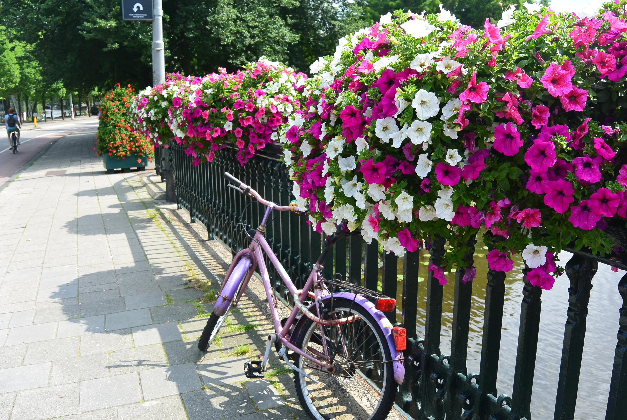 right here defines Amsterdam...a bike and beautiful flowers.