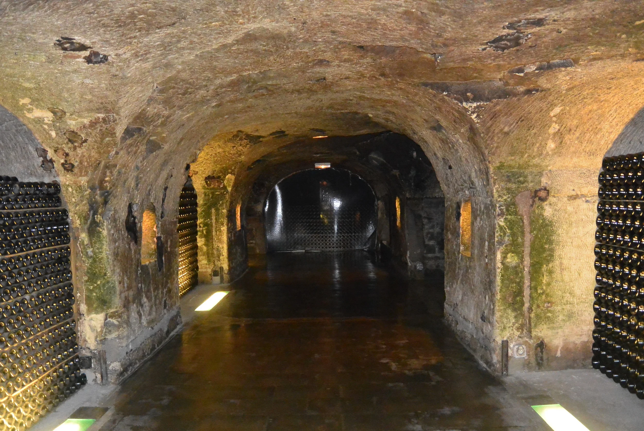 Champagne cave