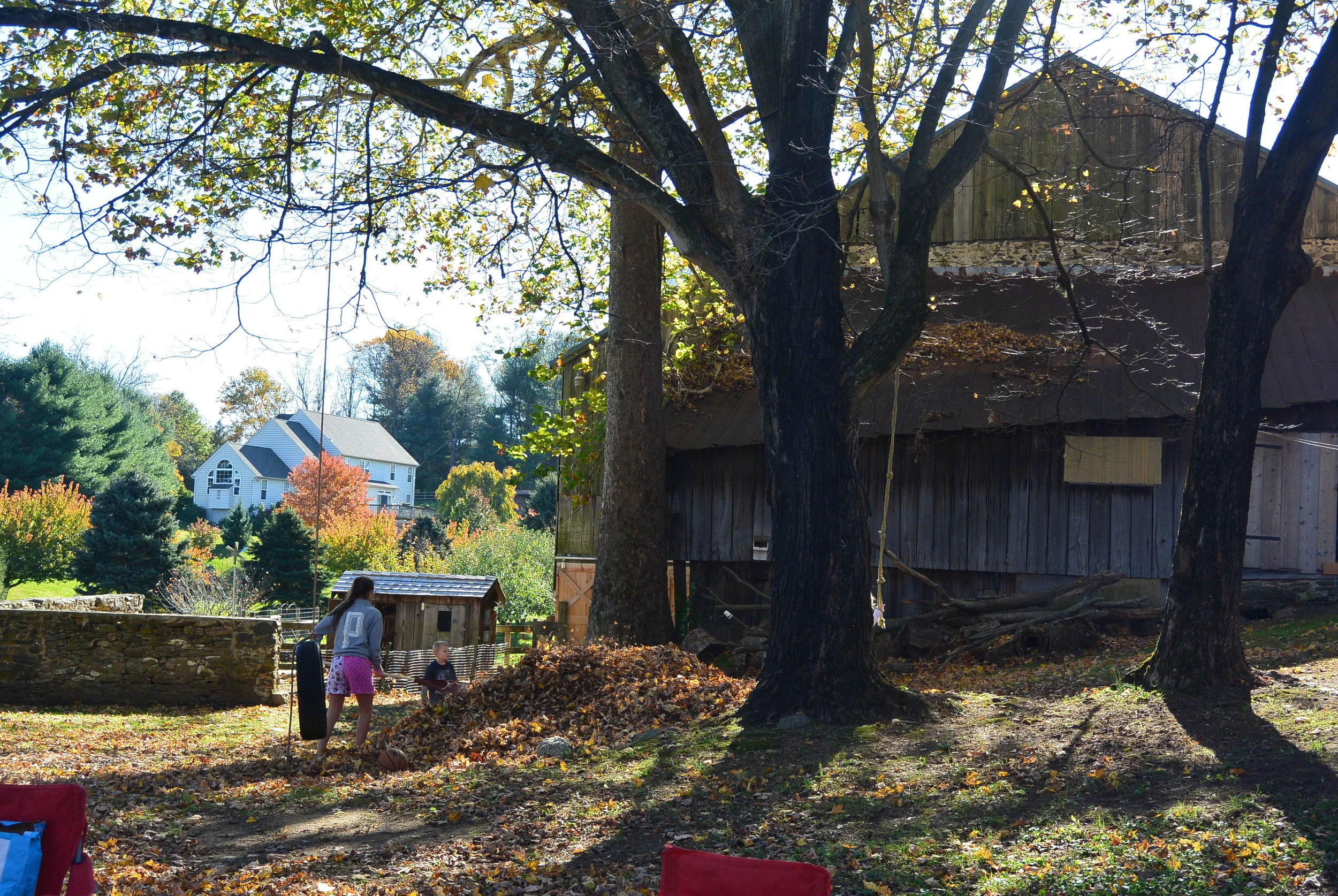 Woo hoo...huge pile of leaves!