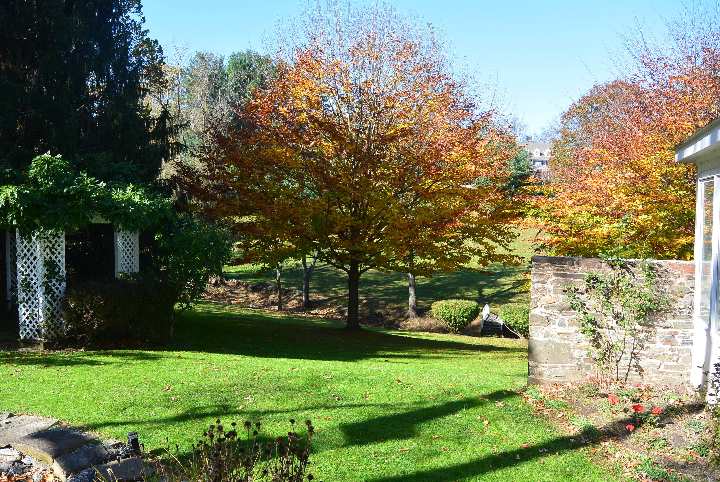 just beautiful here!