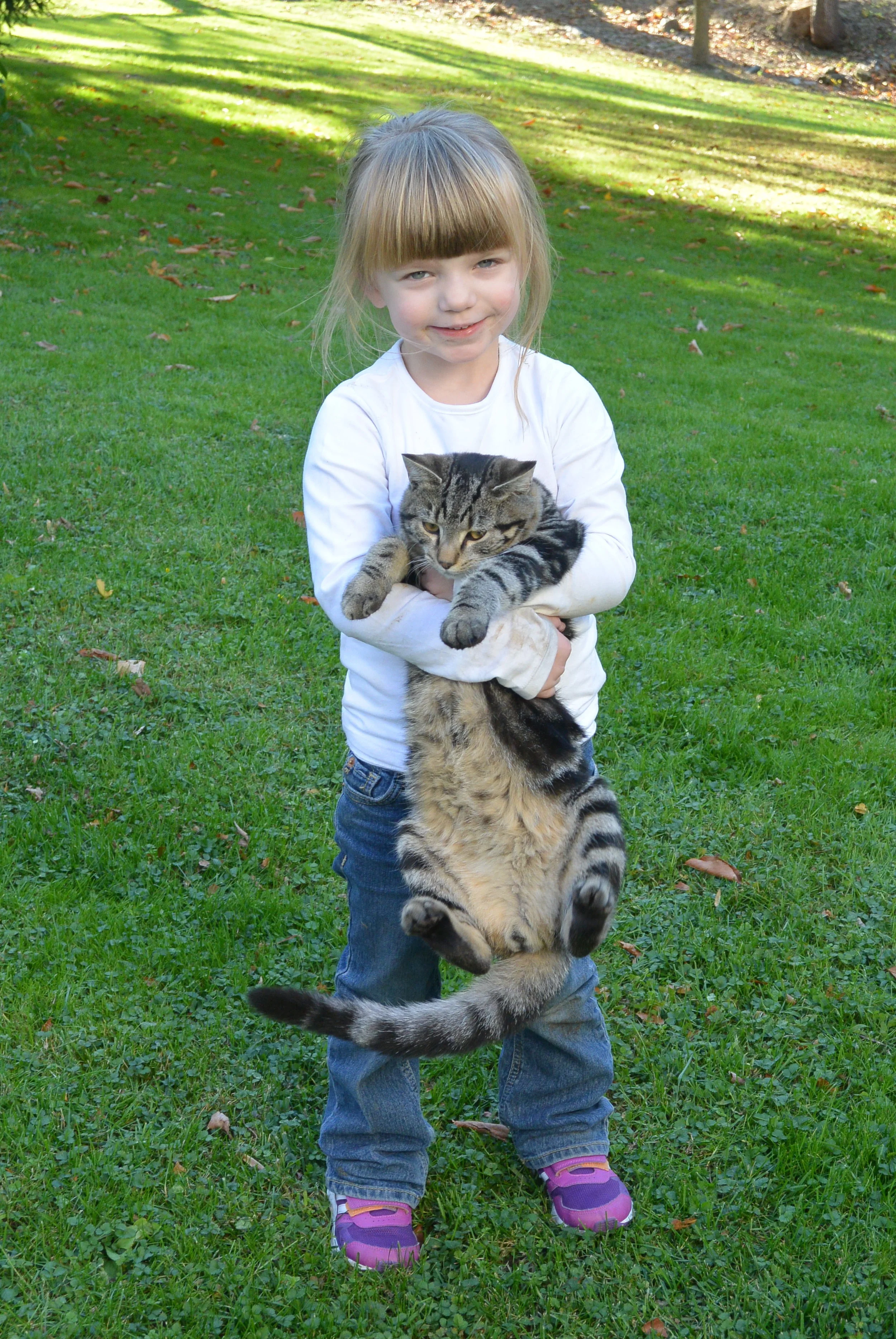 This girl wants a kitty cat really bad!!! :-)