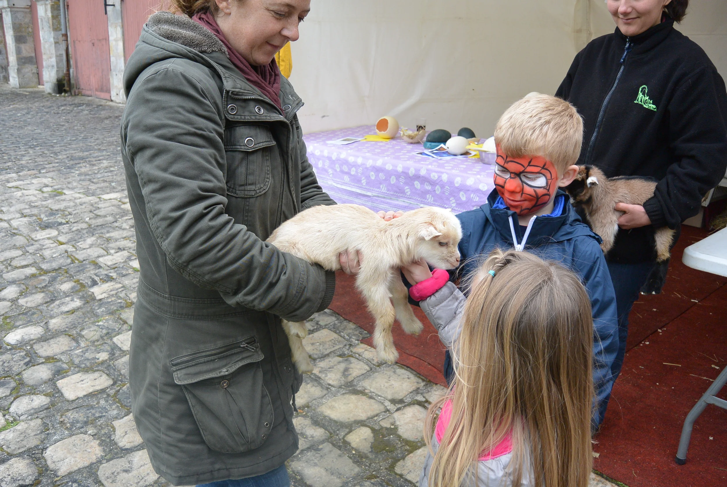 cute little lamb the kids got to pet
