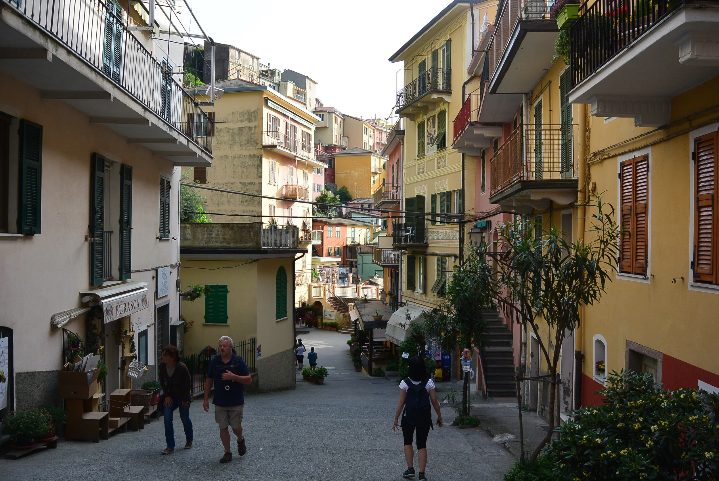 In the village of Manarola