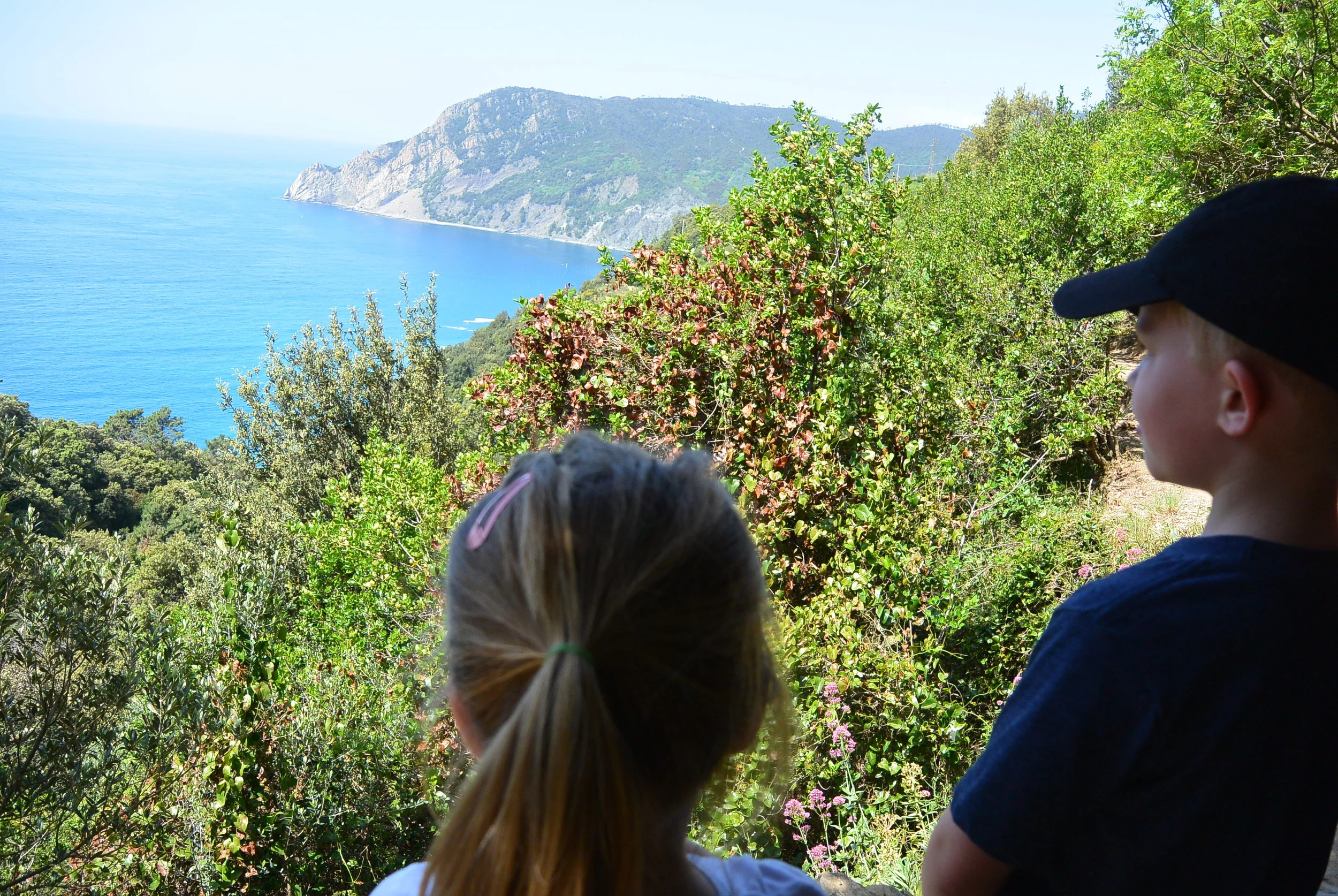 nice view from a hike