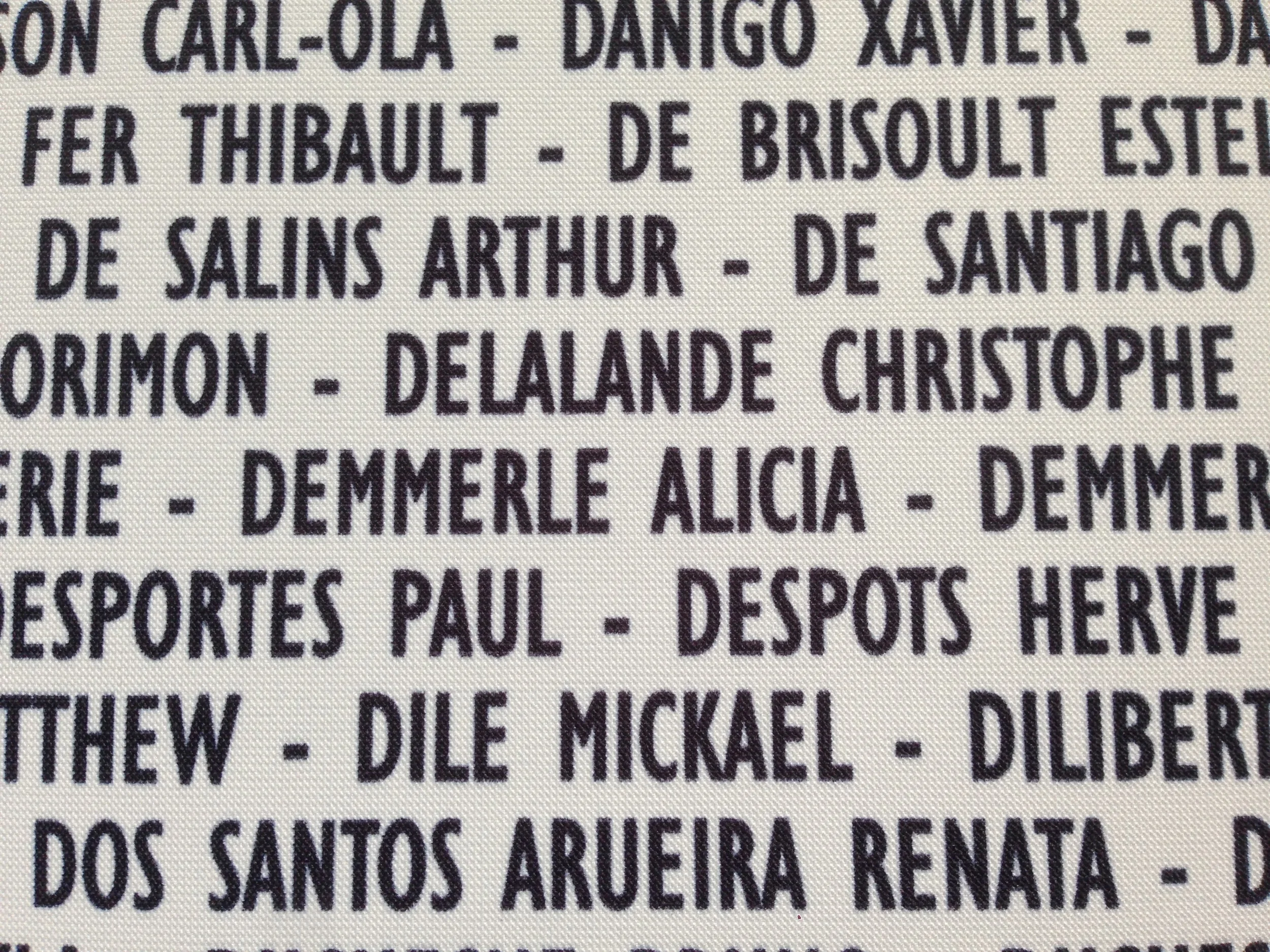 My name listed among 42k other runner in the Paris marathon. &nbsp;HUGE race!