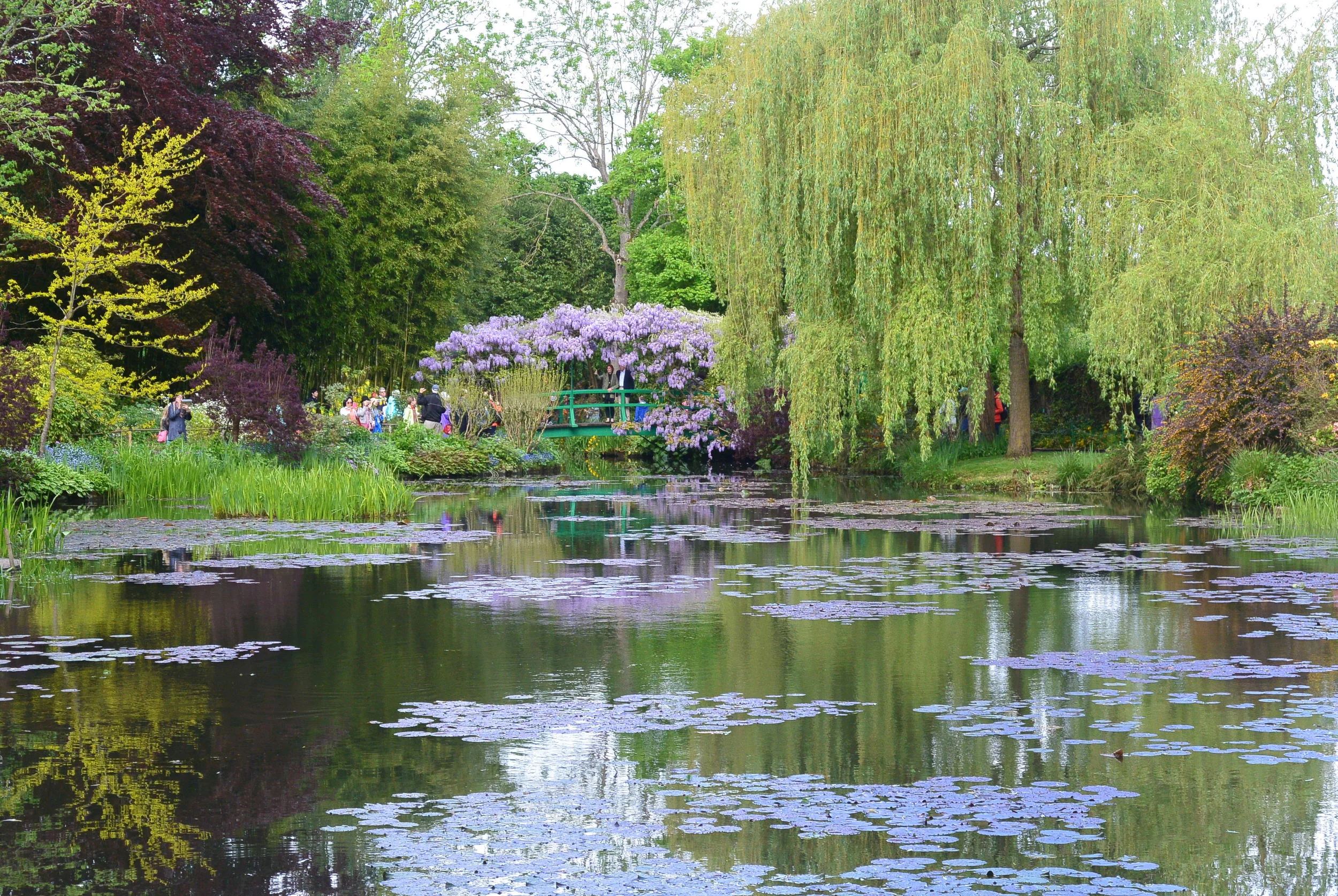 Monet...I took this picture. &nbsp;