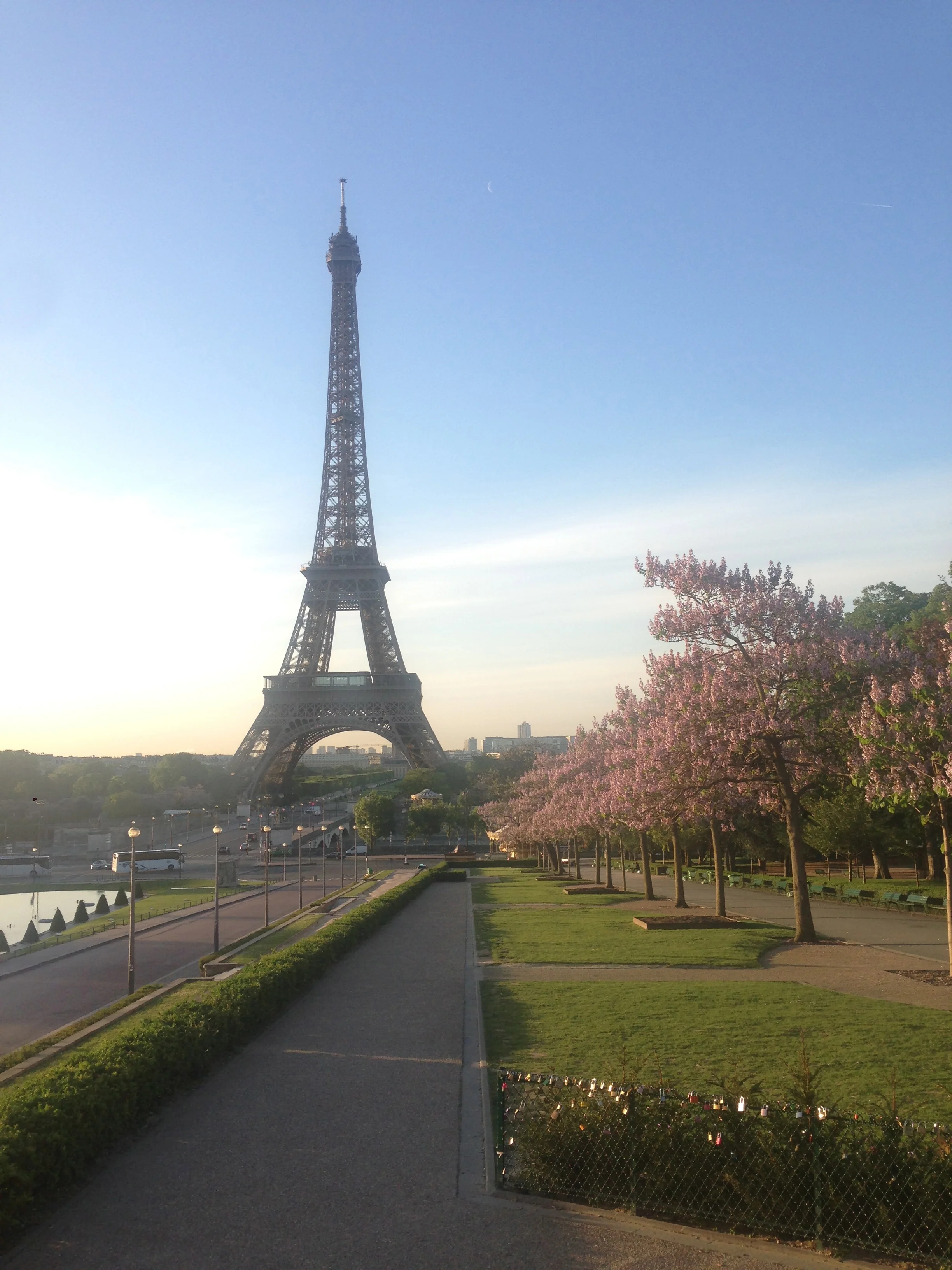 Part of my morning run!!