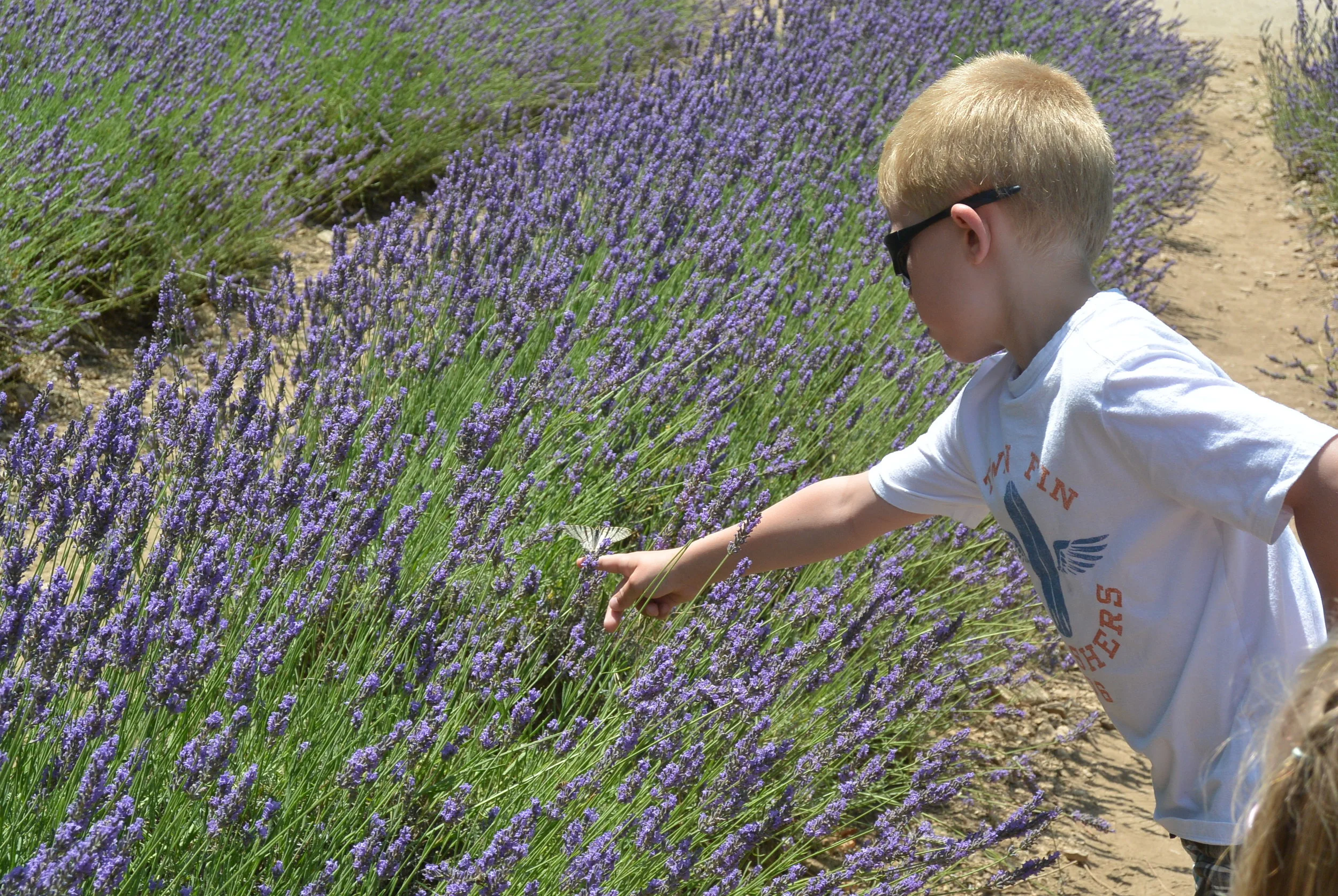 Lance catching a beautiful