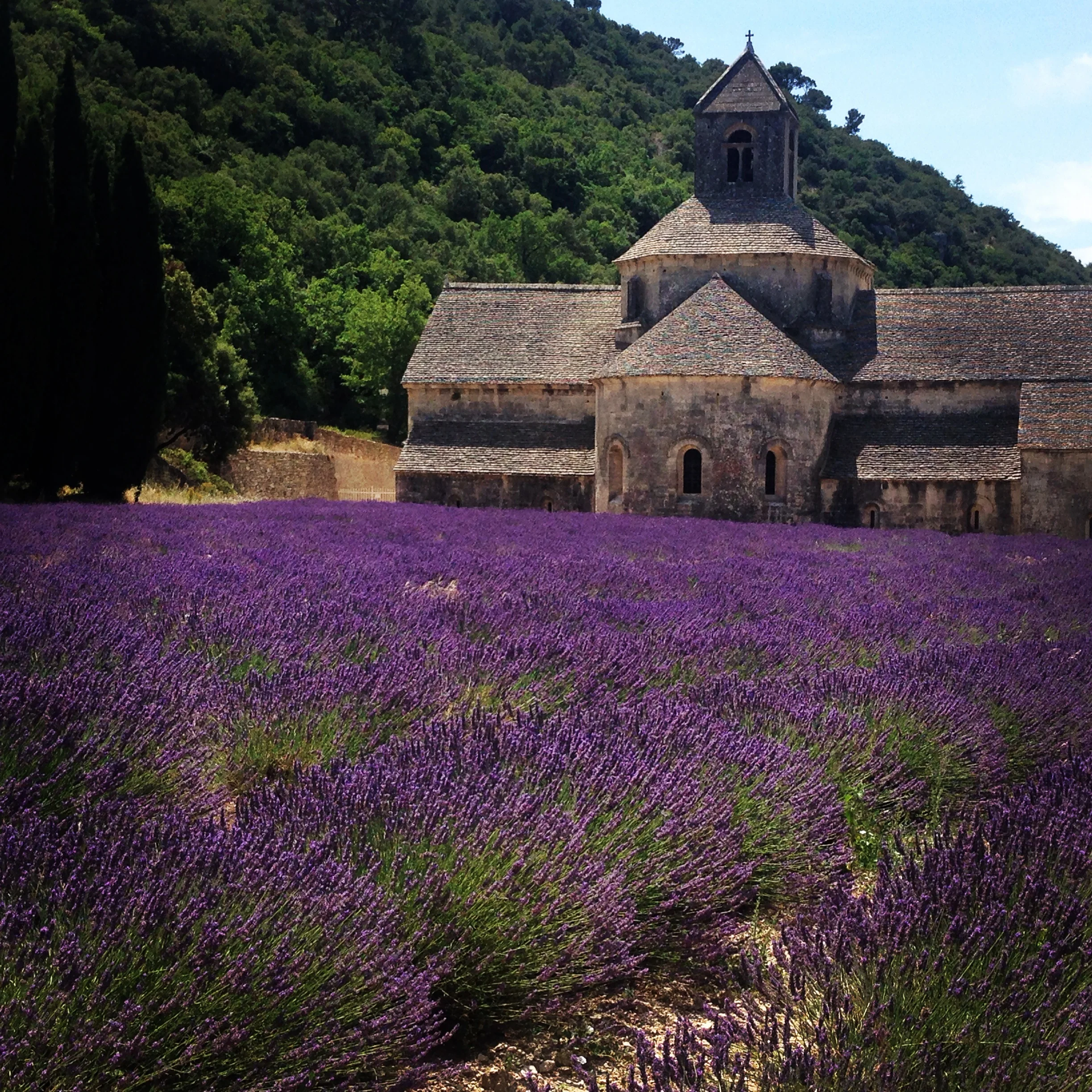 Love this...Abbay Notre- Dame de Senanque