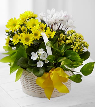 yellow and white flowers in a white basket with a yellow bow tied to the front