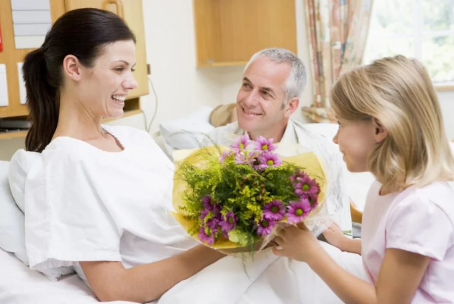 The Secret Of Fresh Cut Flowers And Plants