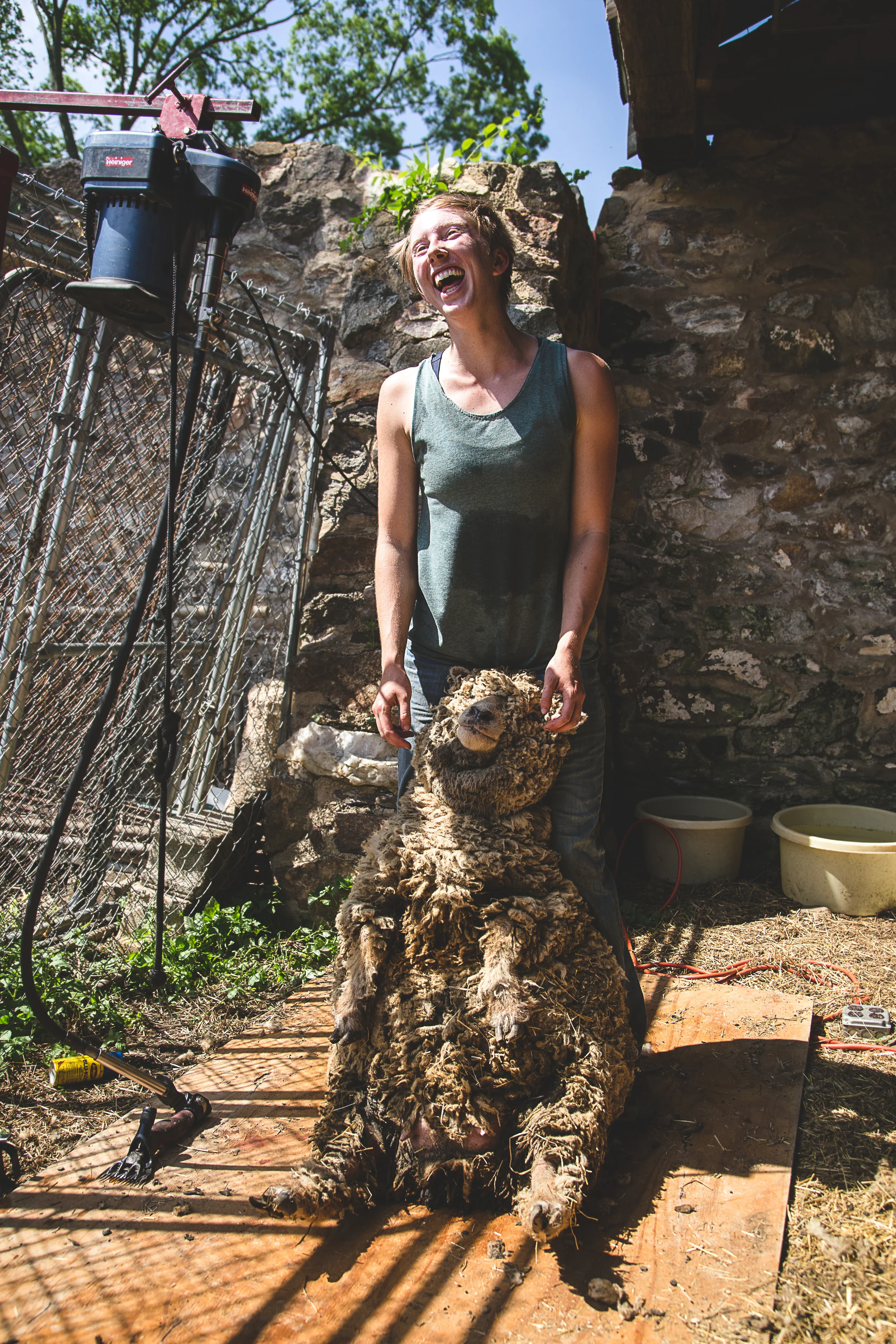 Kristen_Rosser_Shearing--10.jpg