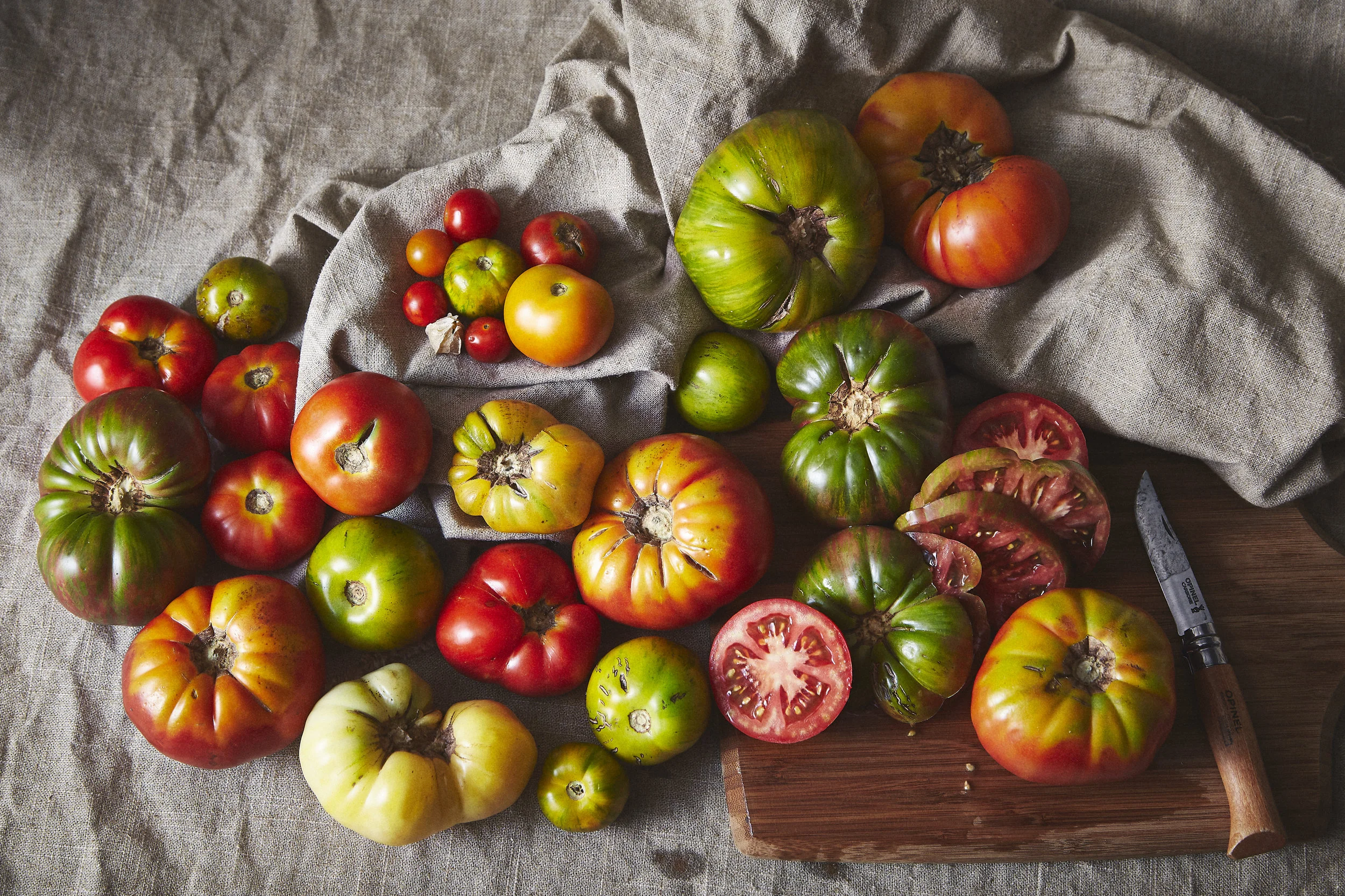 20160801_Tomatoes0622 1.jpg