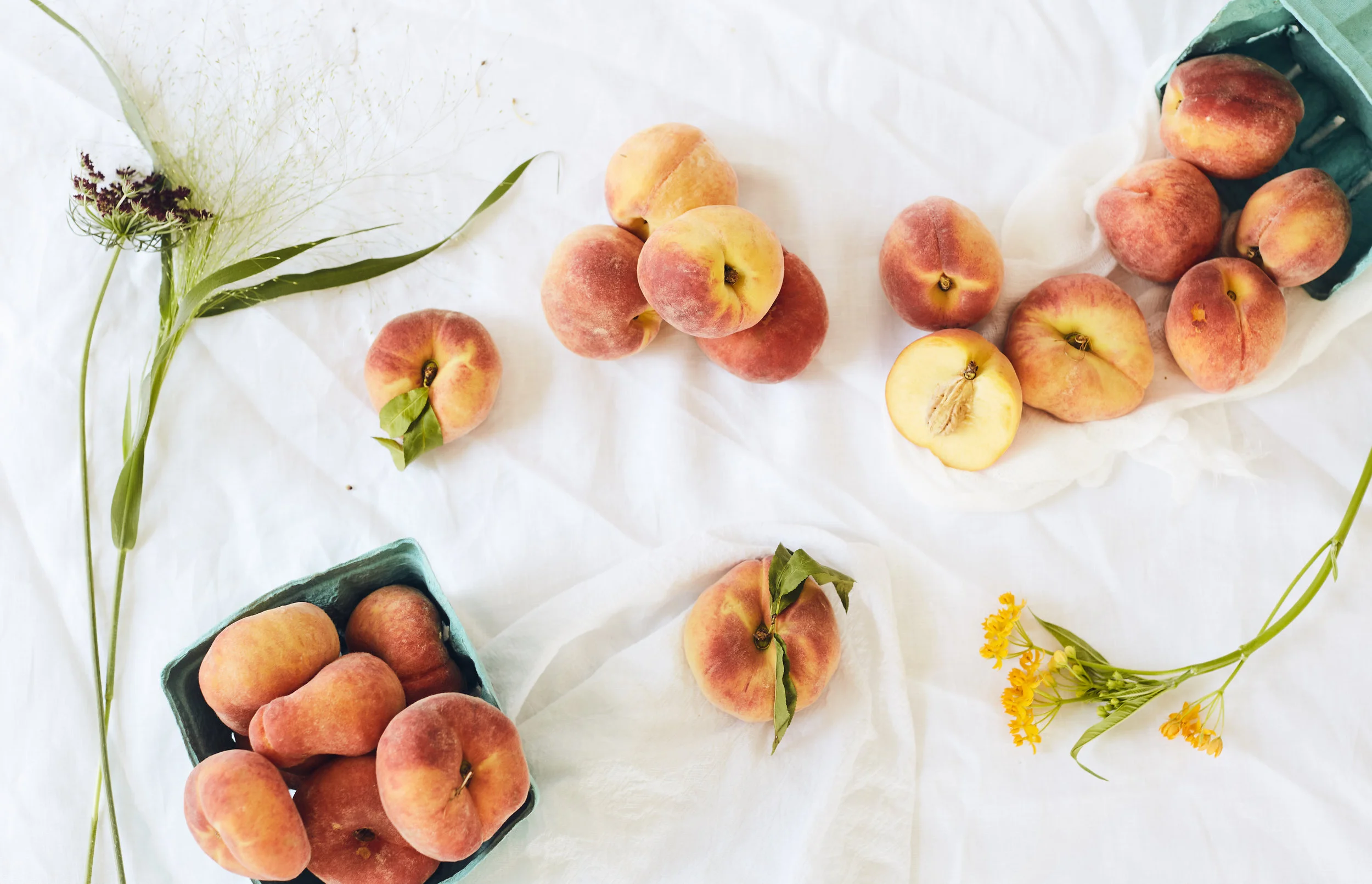 20180707_Peaches14443.jpg