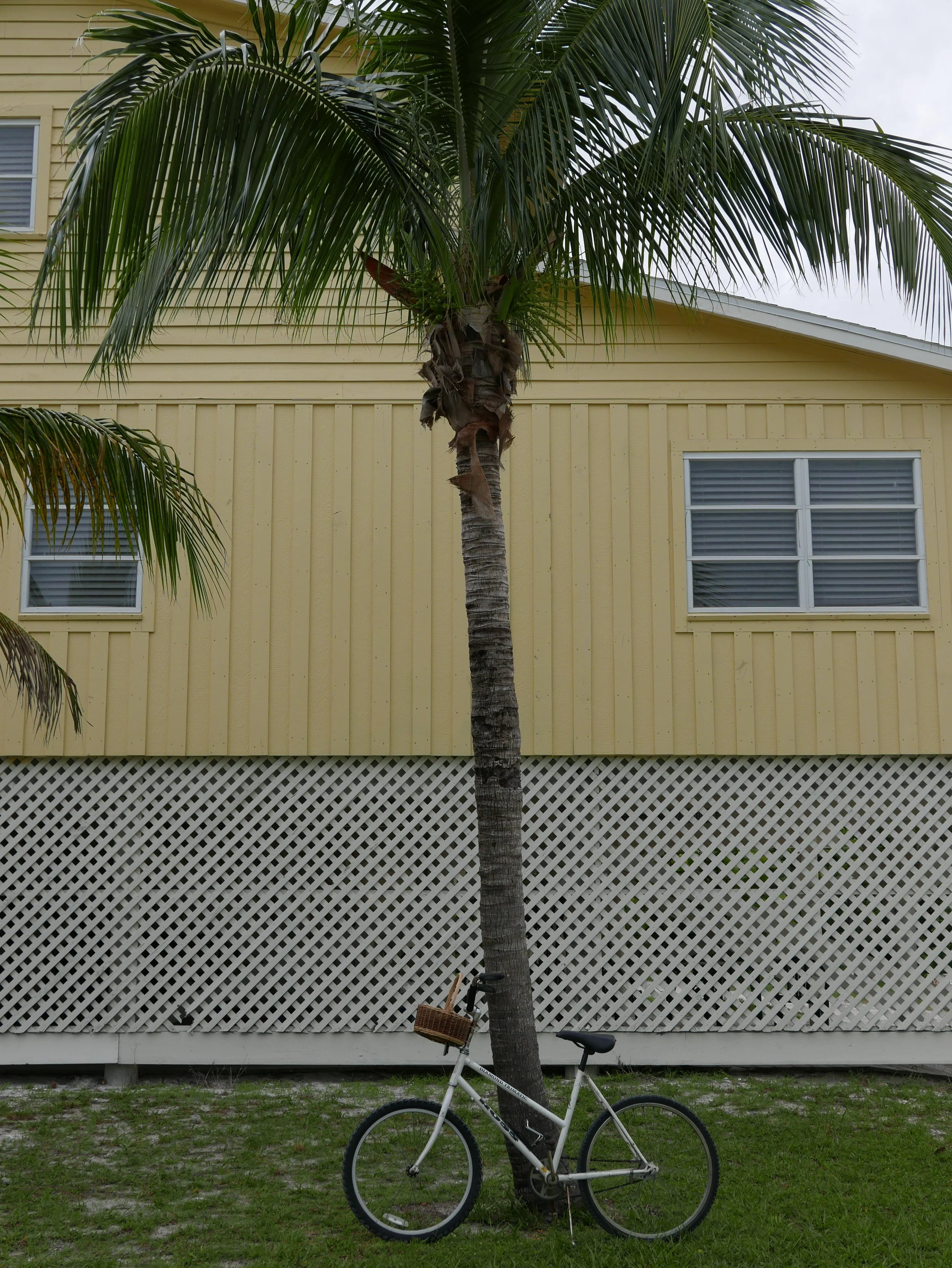 Weekend Inspirations no.4