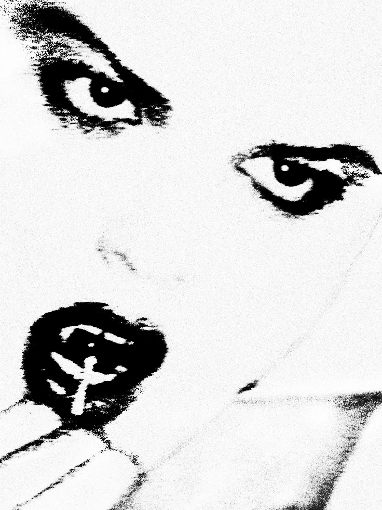 BWSPS_Eva_Replace_V1_File copy.jpg