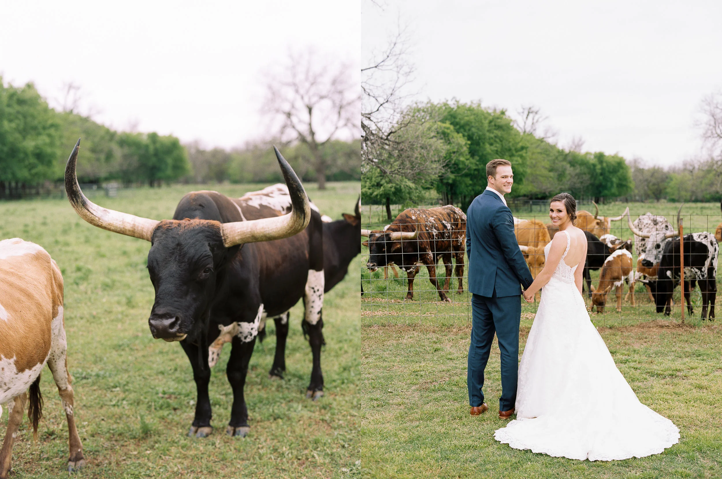Maddy & Nick-23.jpg