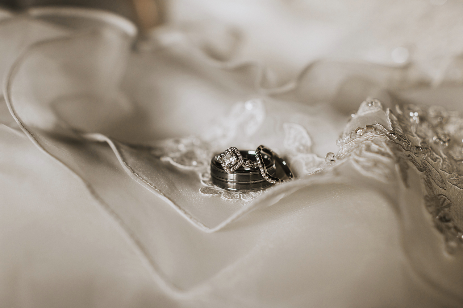 IMG_2204-WB.jpg