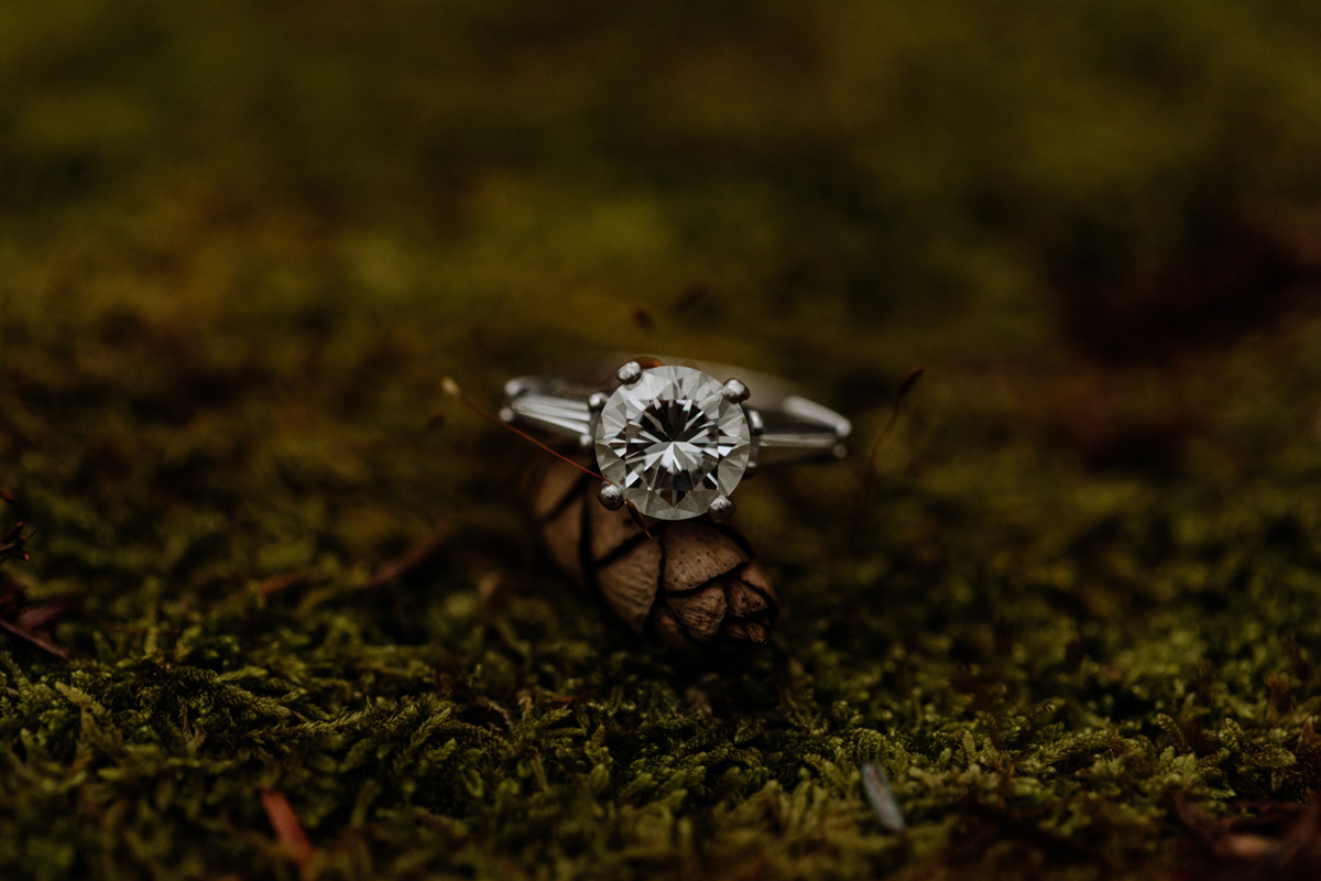 lehigh-valley-engagement-photos-ring-shot