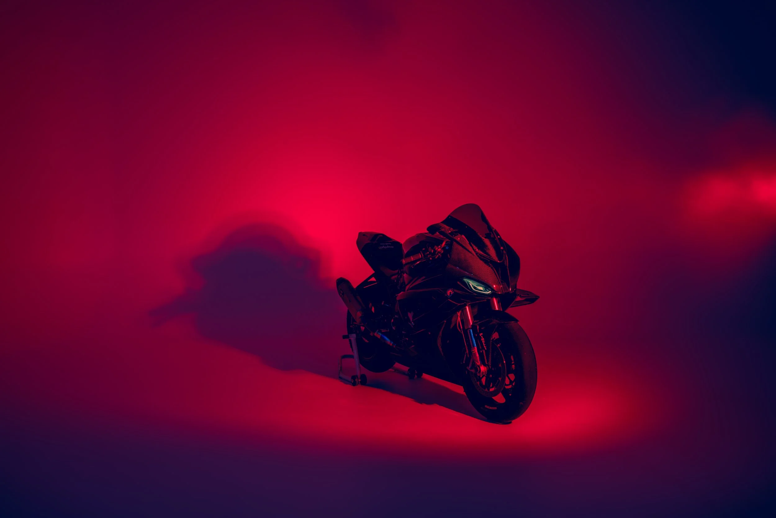 bmw_S1000RR_robin_2.jpg