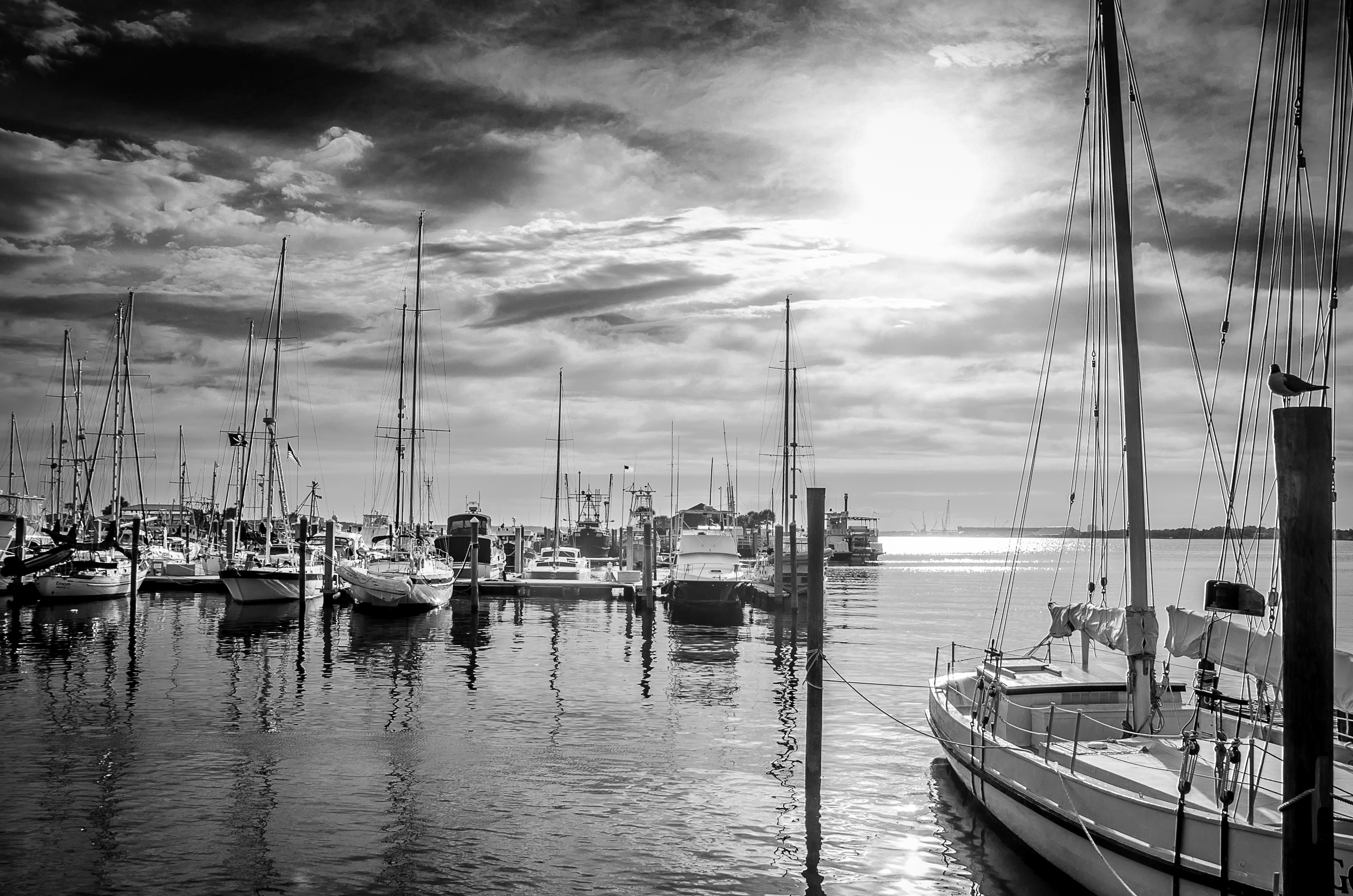 St. Andrews Marina, Panama City Florida