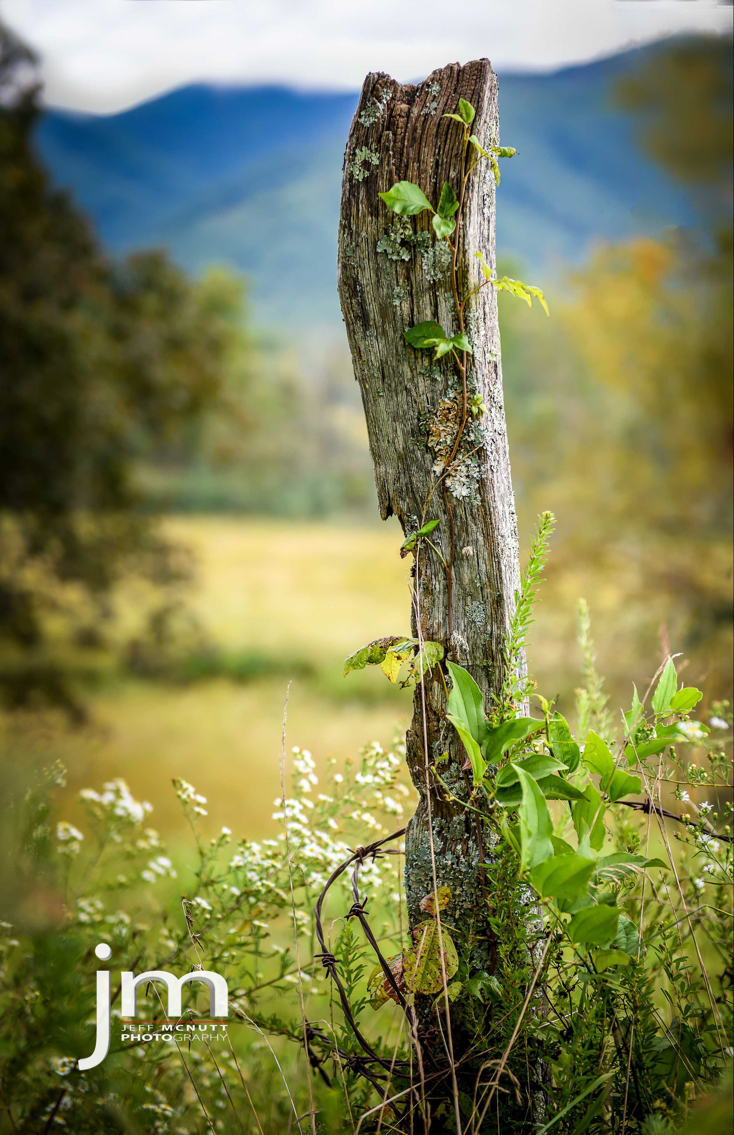 Cades Cove, Great Smoky Mountains National Park