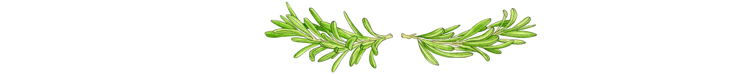 Rosemary