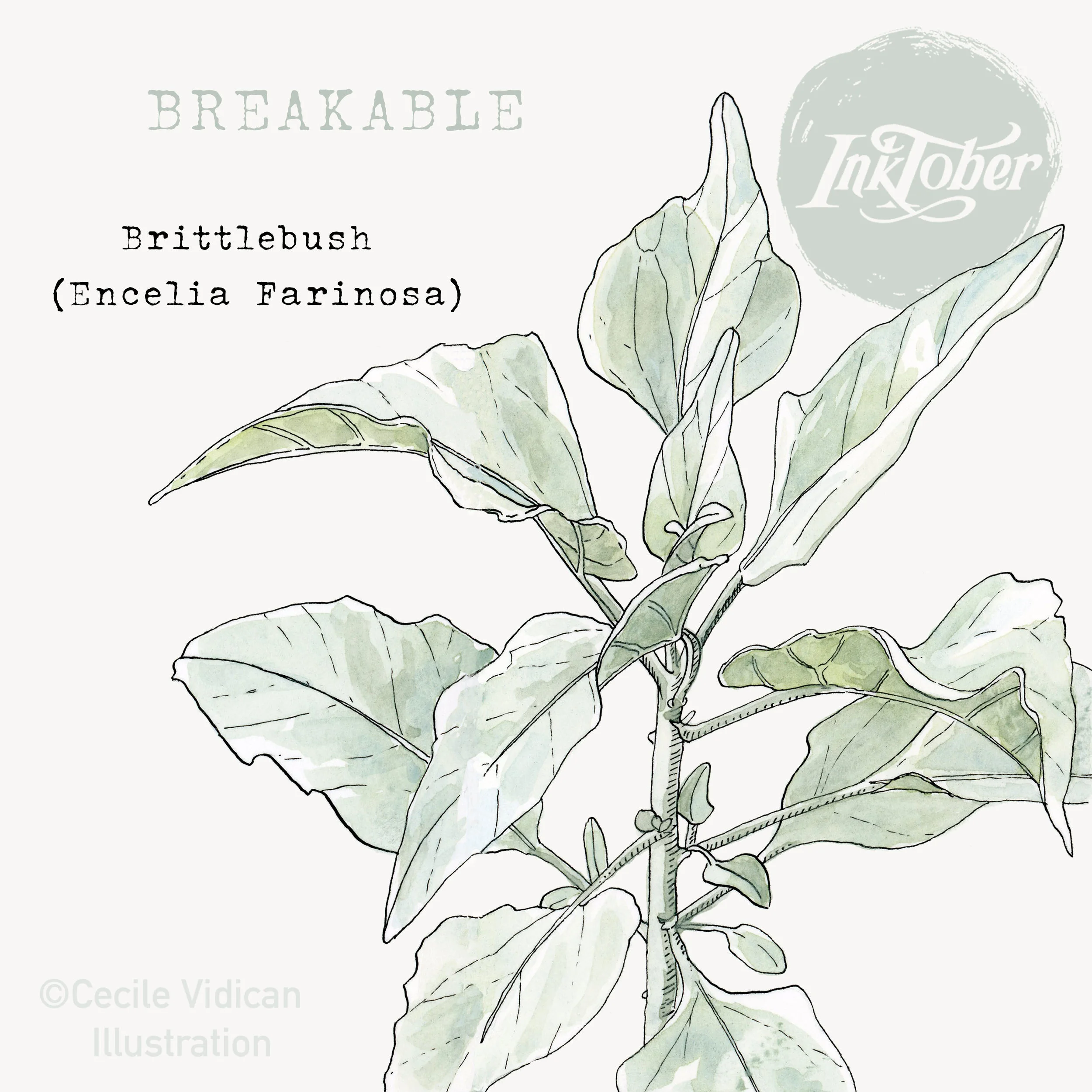 BREAKABLE