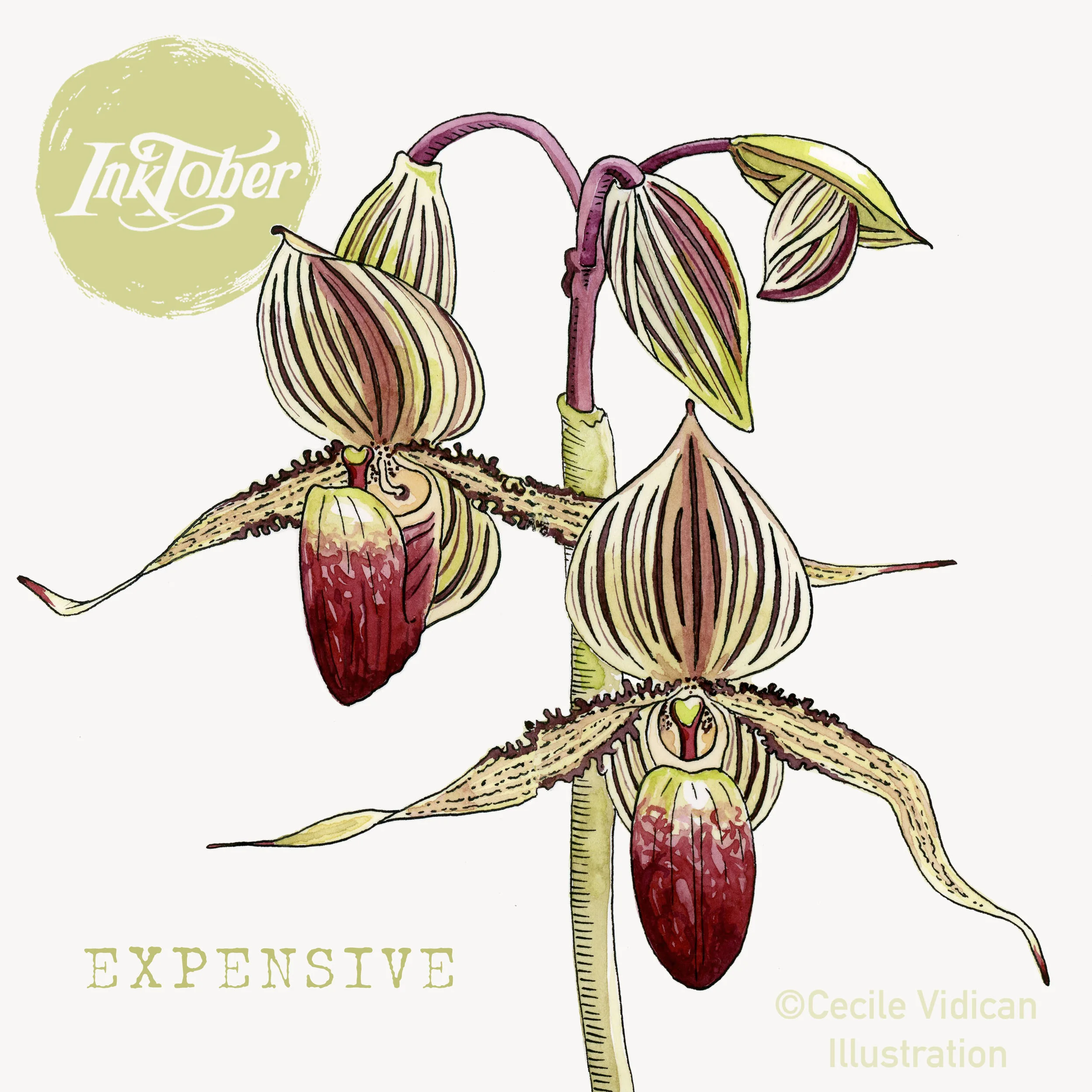EXPENSIVE