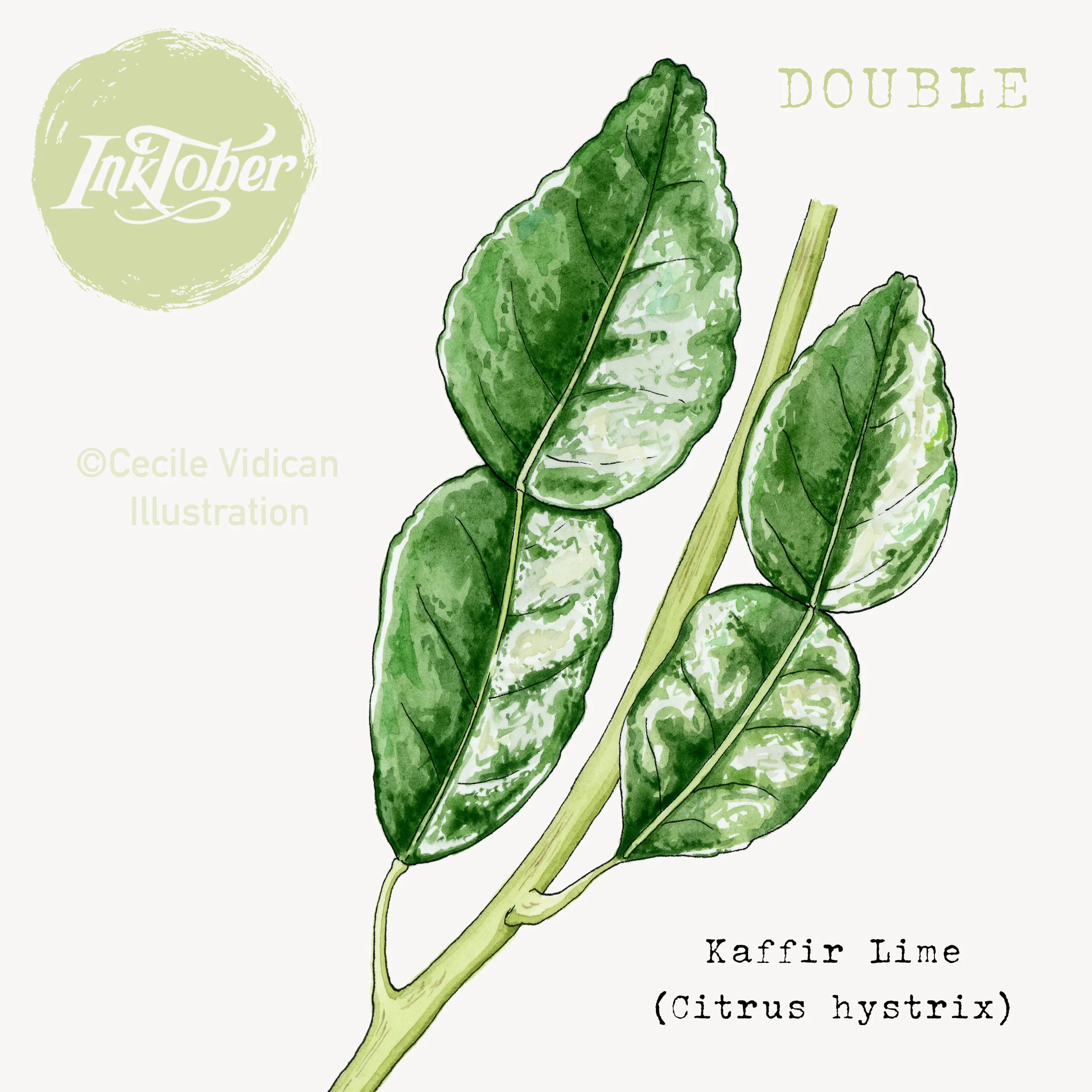 DOUBLE