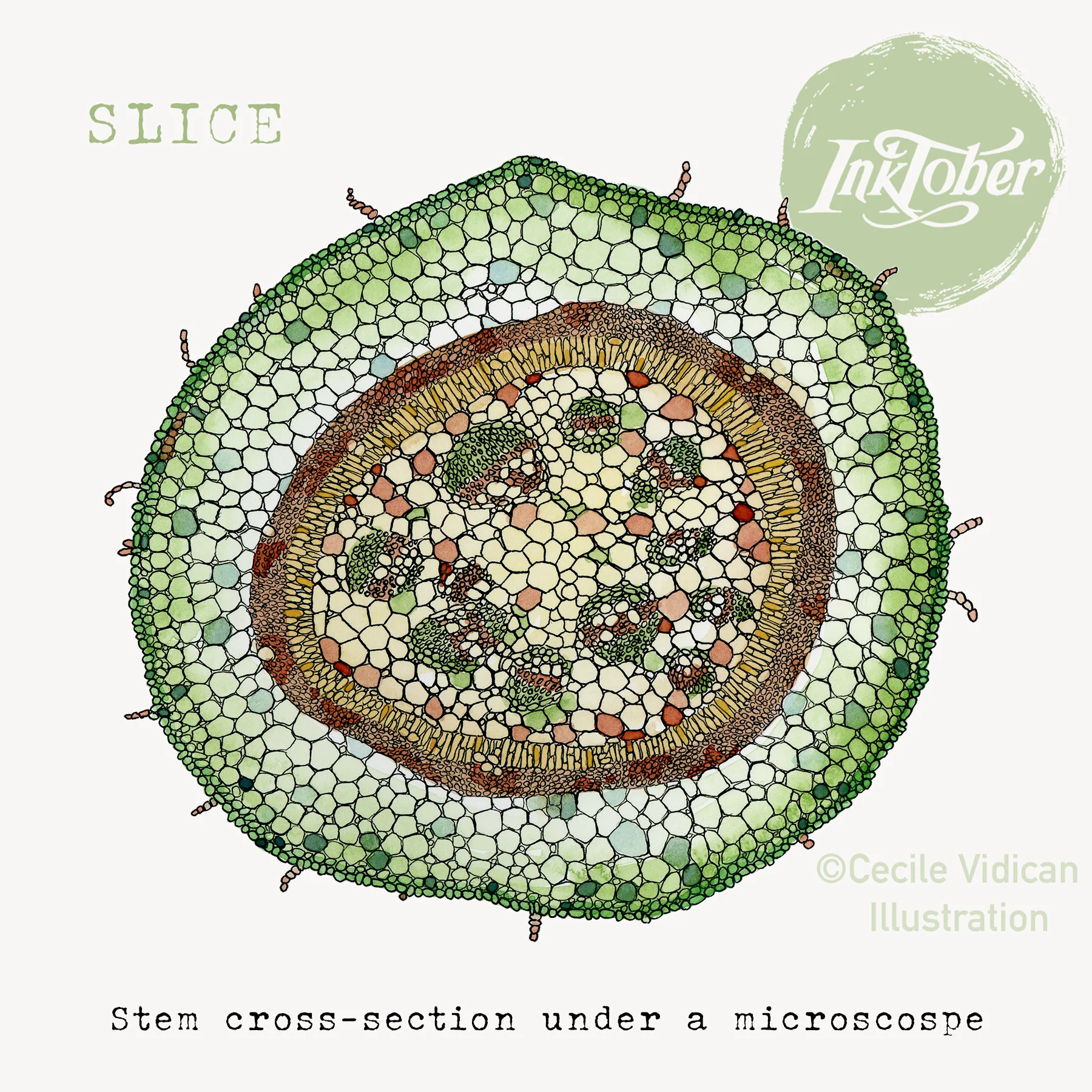 SLICE