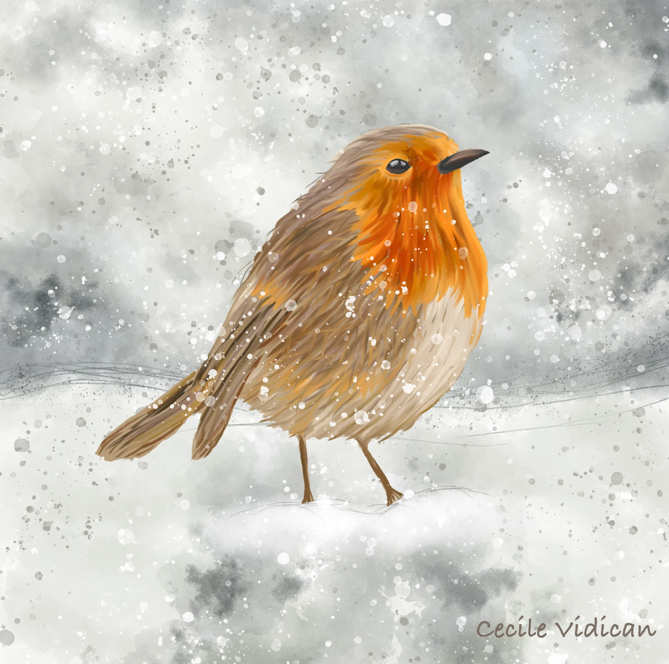 Robin in the Snow