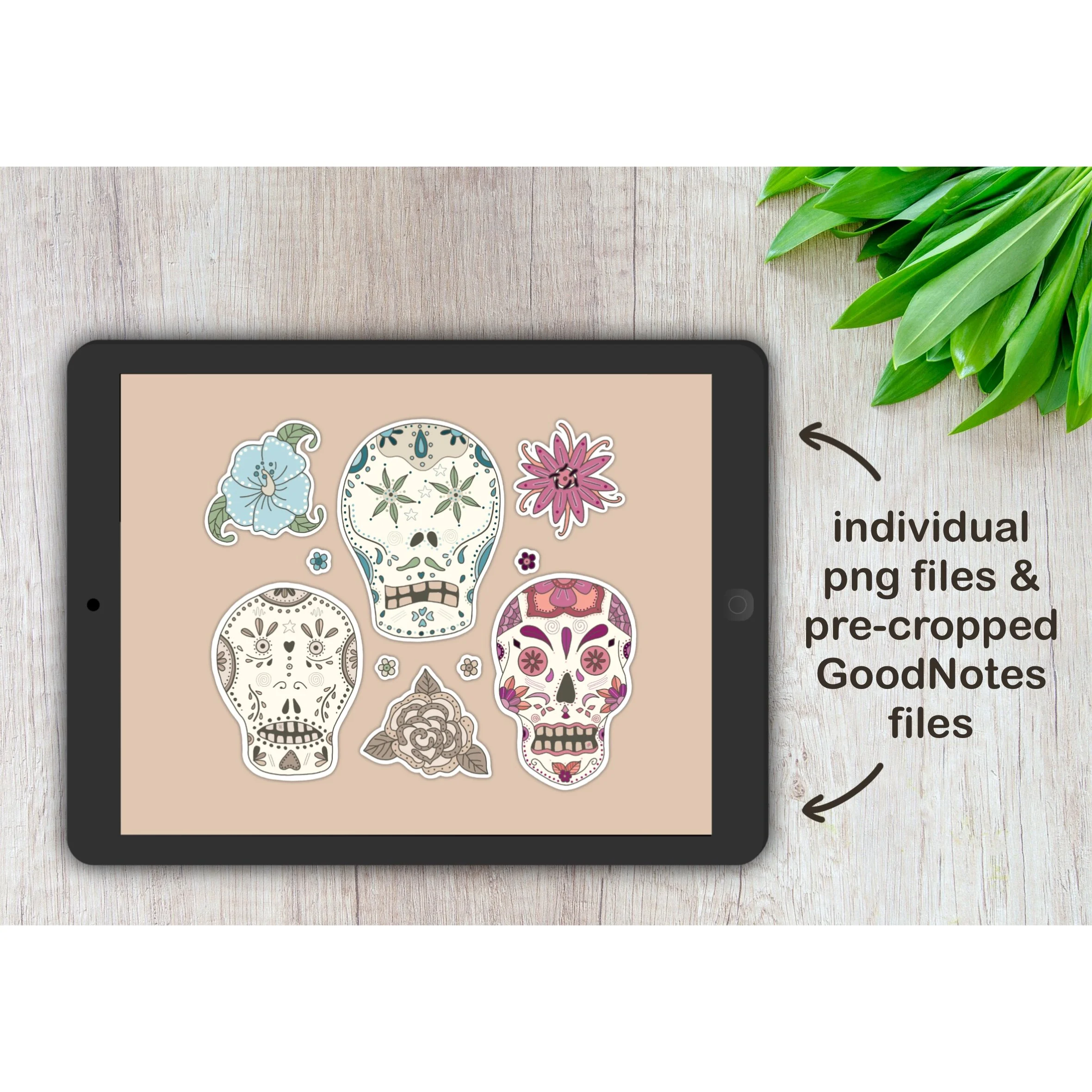 Calaveras_Horizontal_.jpg