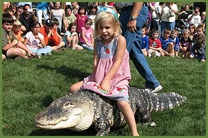 animals_bubba.jpg