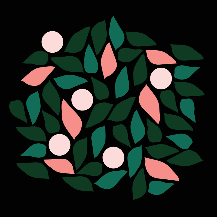 plantpattern-02.jpg