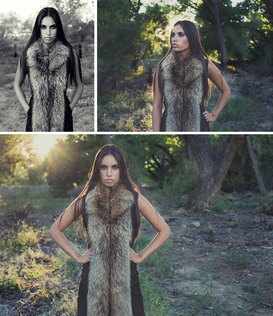 lisa burke photography | Albuquerque, NM & Destination Photographer 
