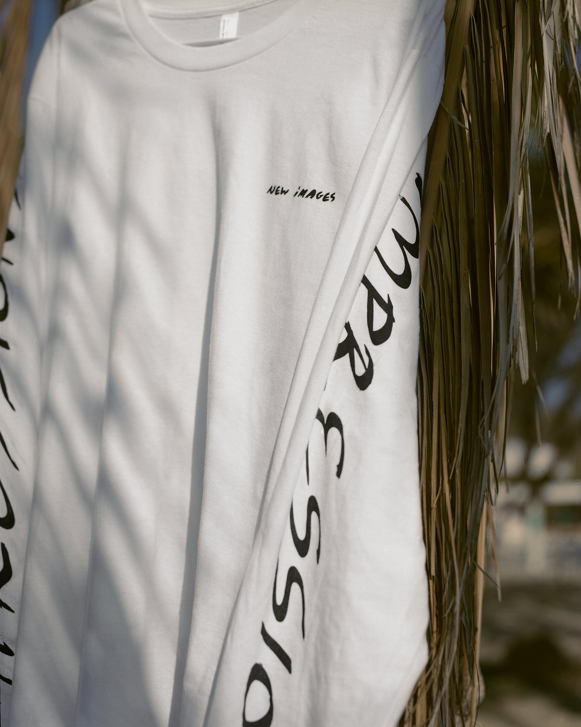 Untitled (3)_f_small.jpg