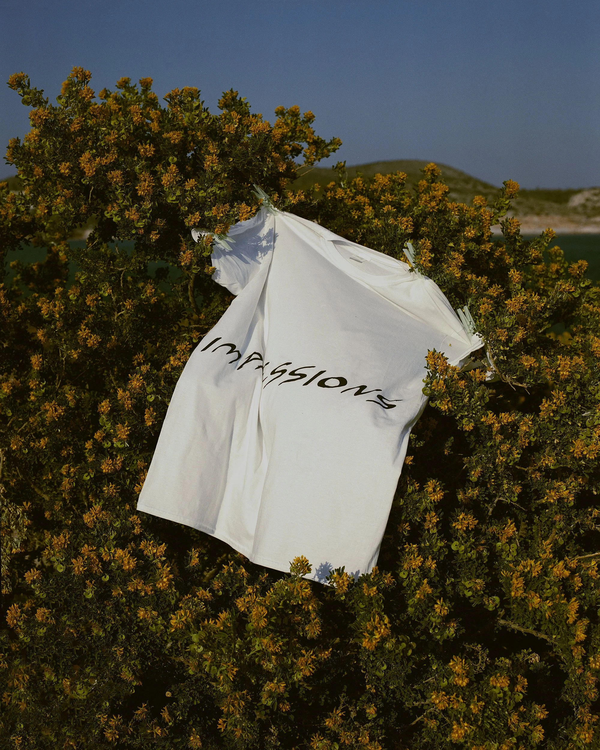 Untitled (5)_f_small.jpg