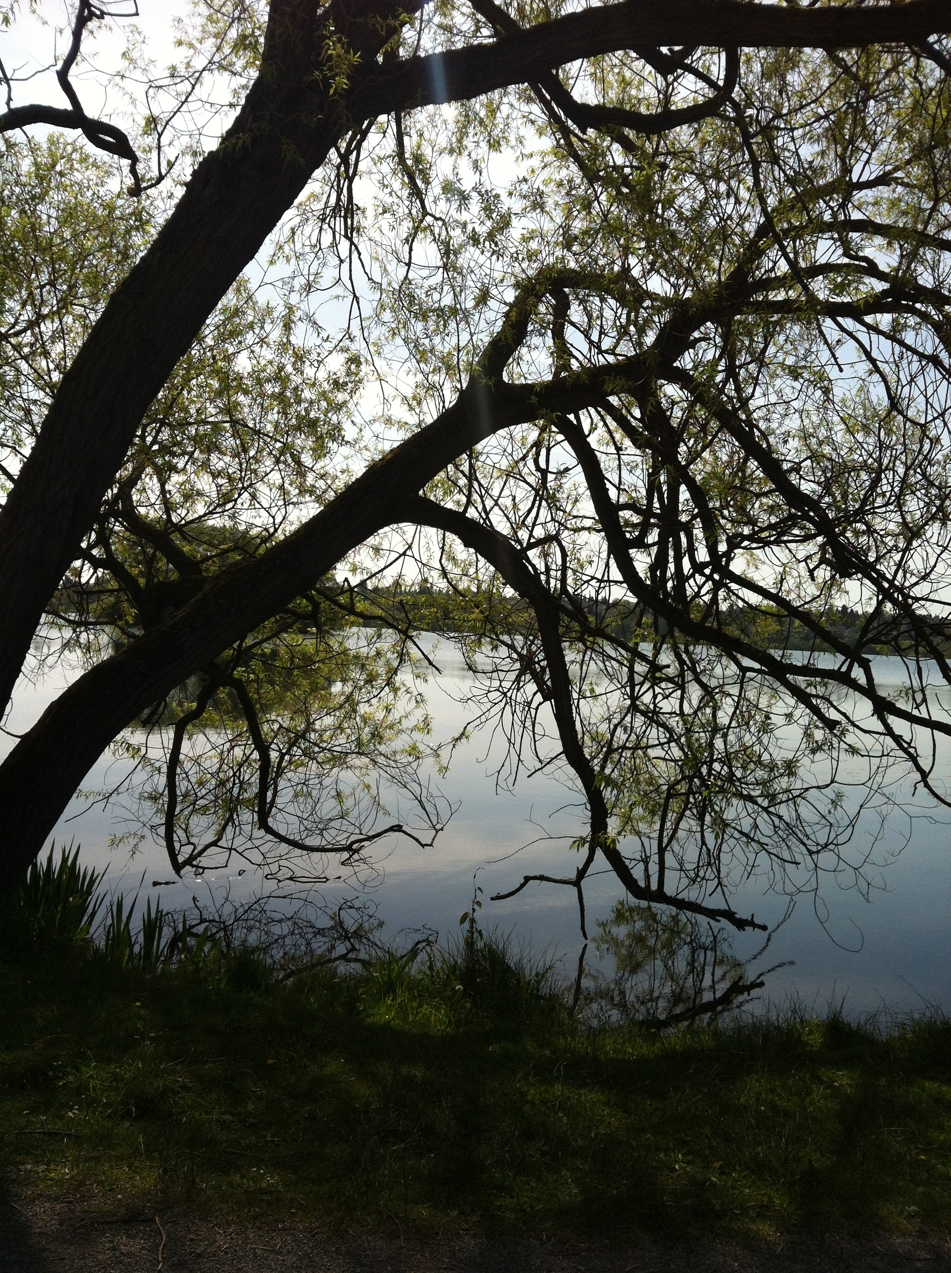 wide open spaces of grace and glory