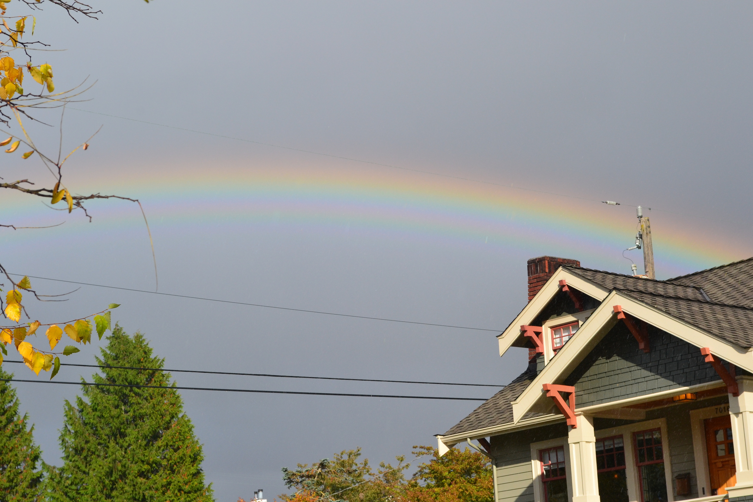 ode to angels that flew in