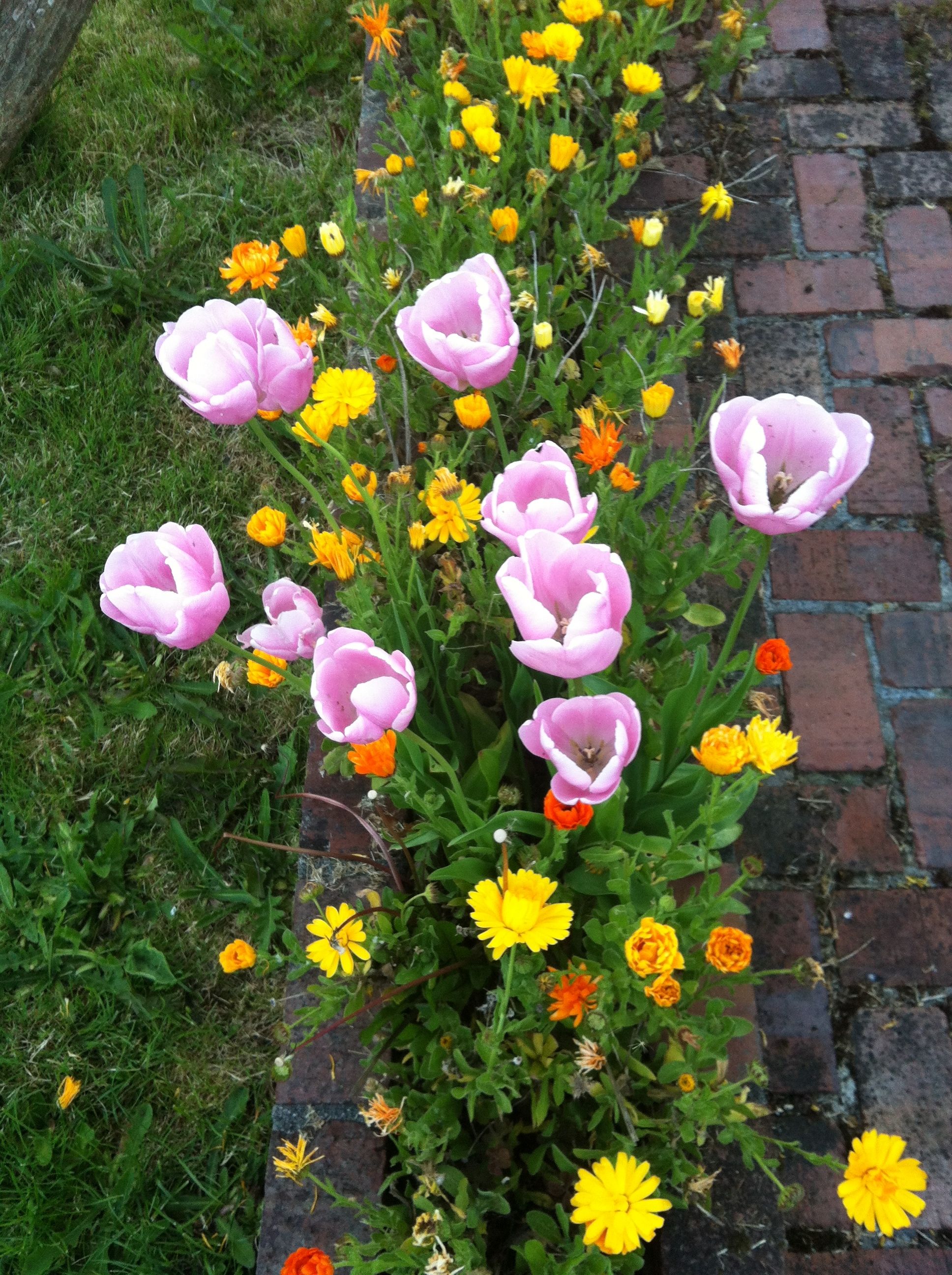 desire to share beauty