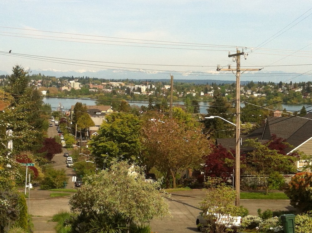 My new hood